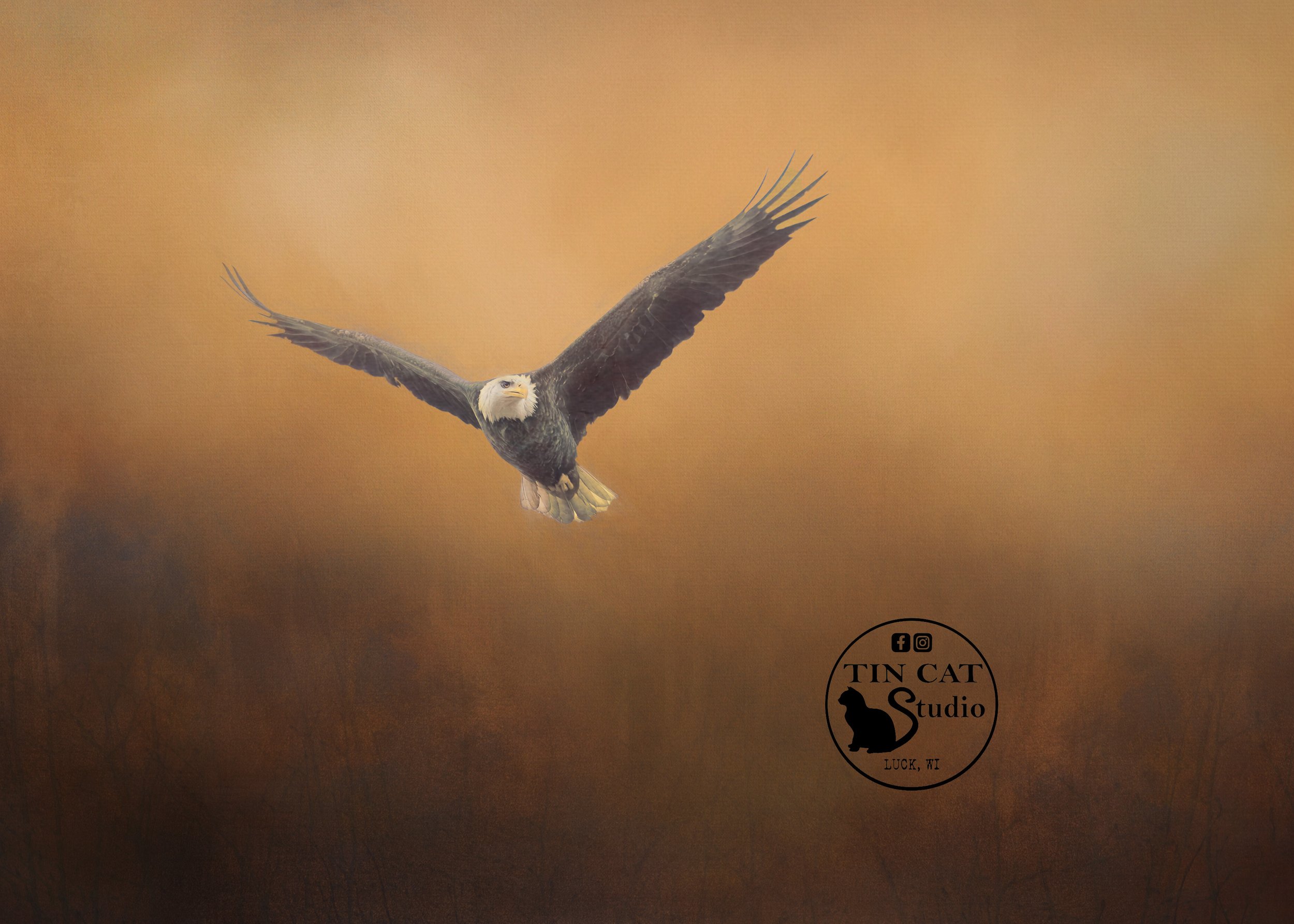 The Hunt-card-LOGO.jpg