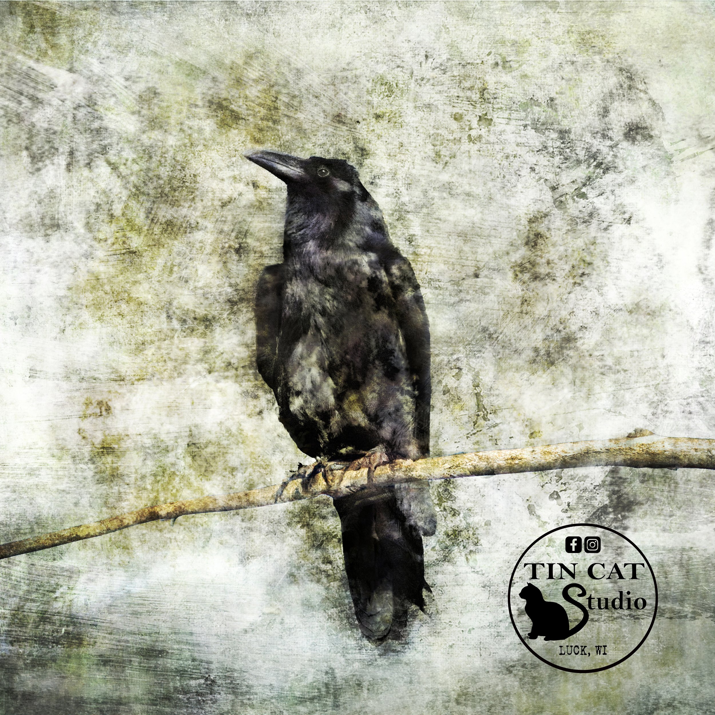 Obsidian Overture Mini.jpg