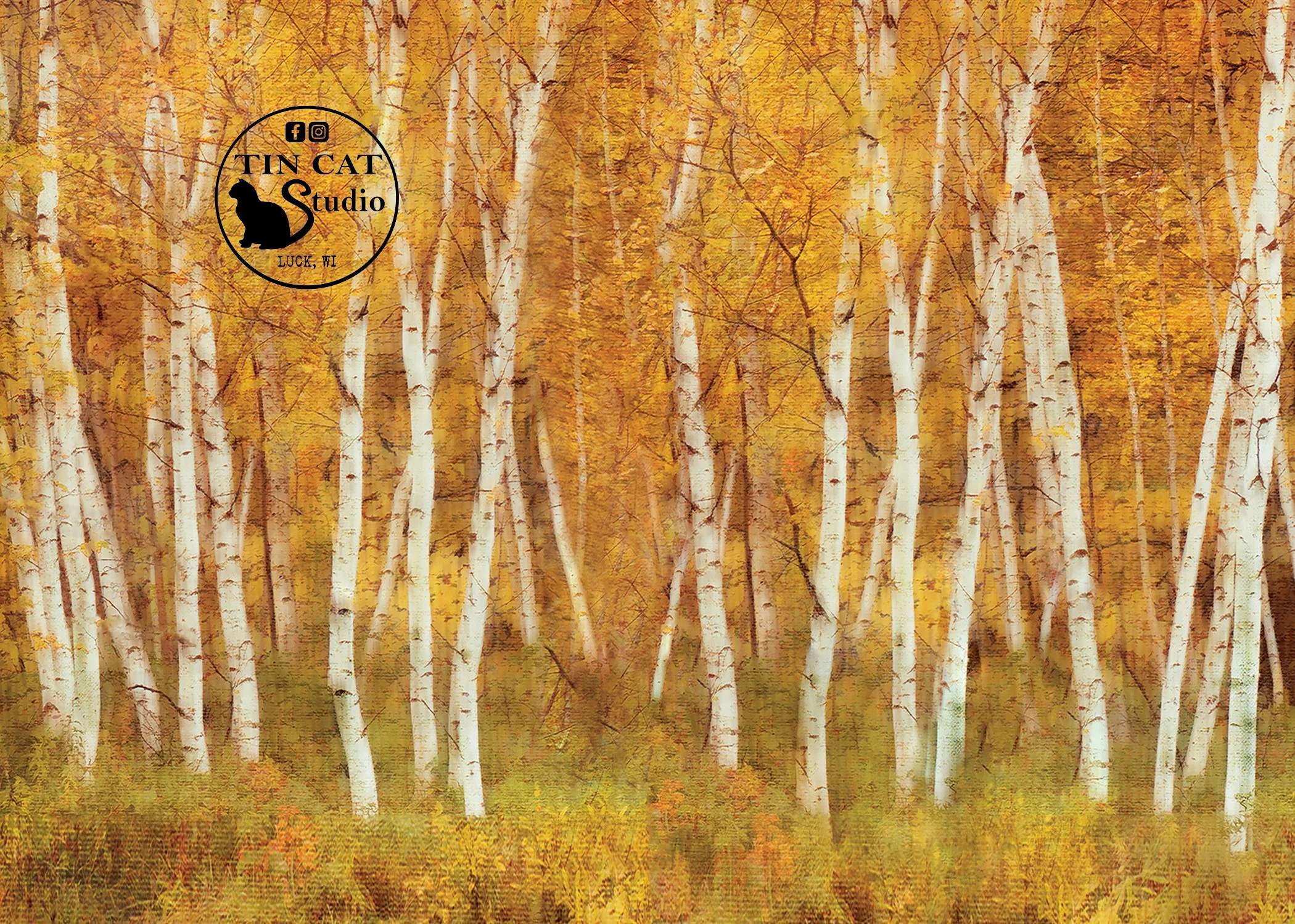 Autumn Birch card.jpg