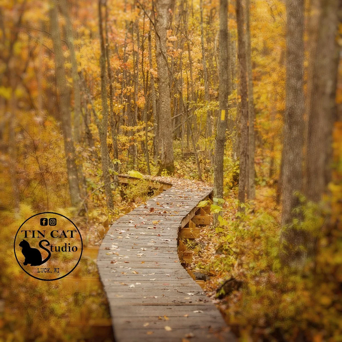 Autumn Path Mini.jpg