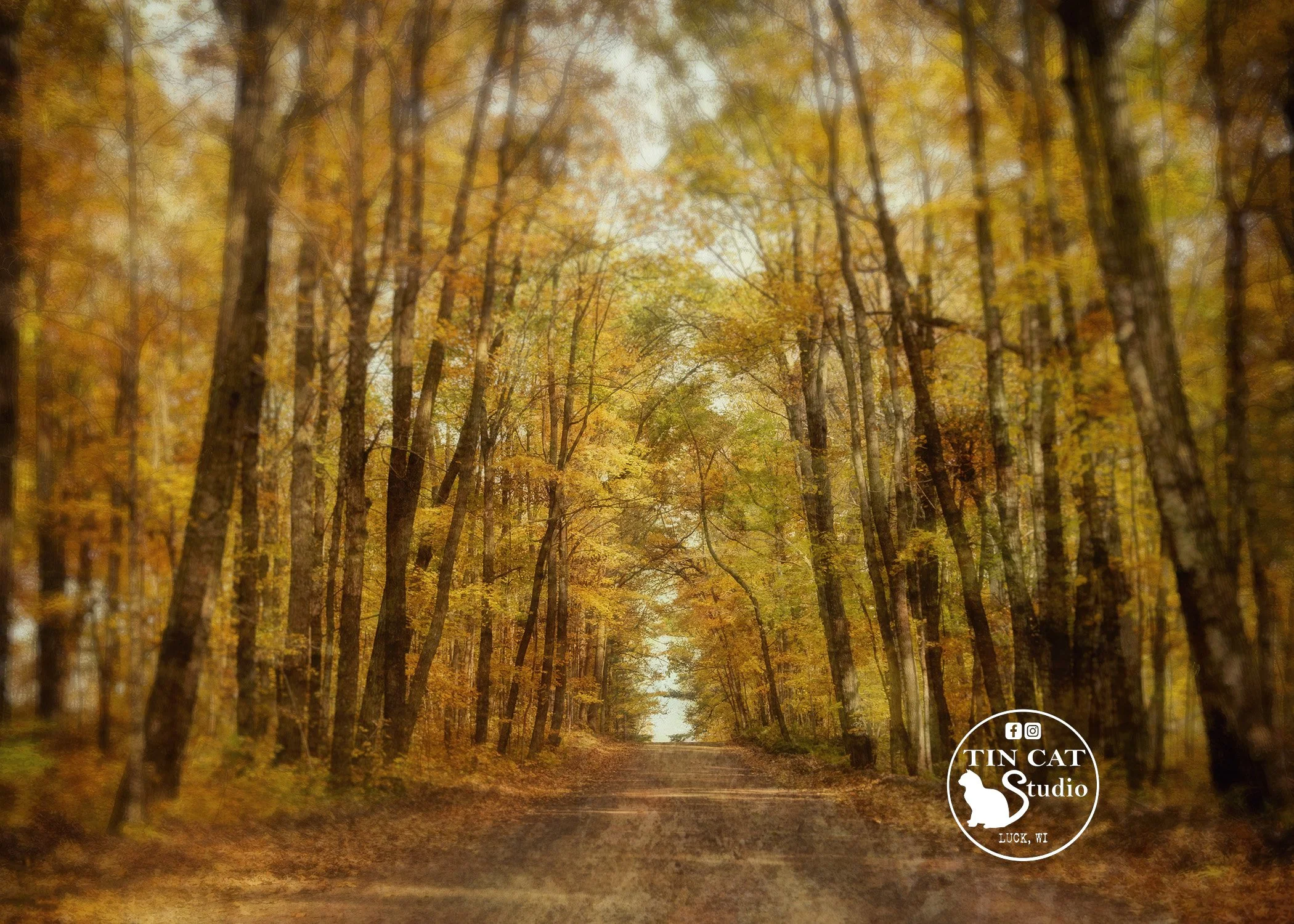 Autumn Ambience Card.jpg