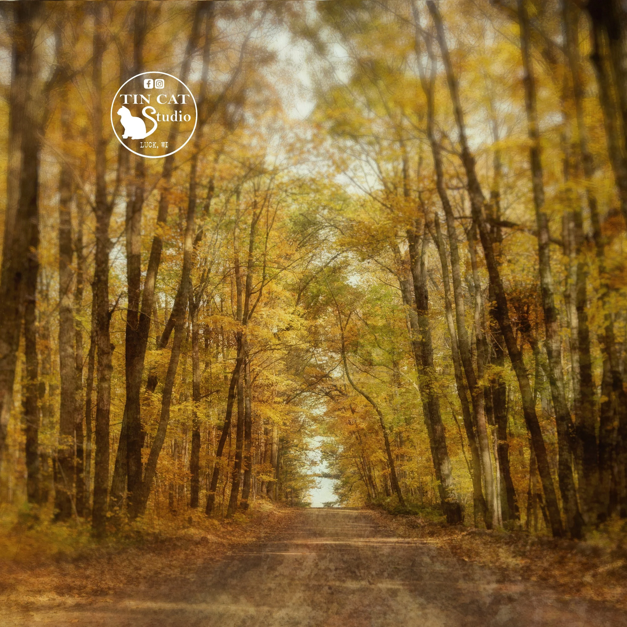 Autumn Ambience Mini.jpg