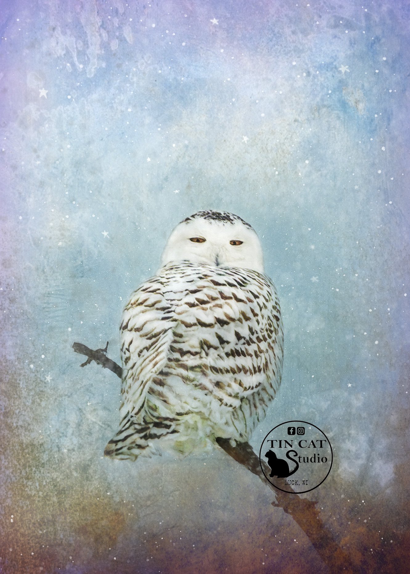 Snowy Sentinel_card_LOGO.jpg