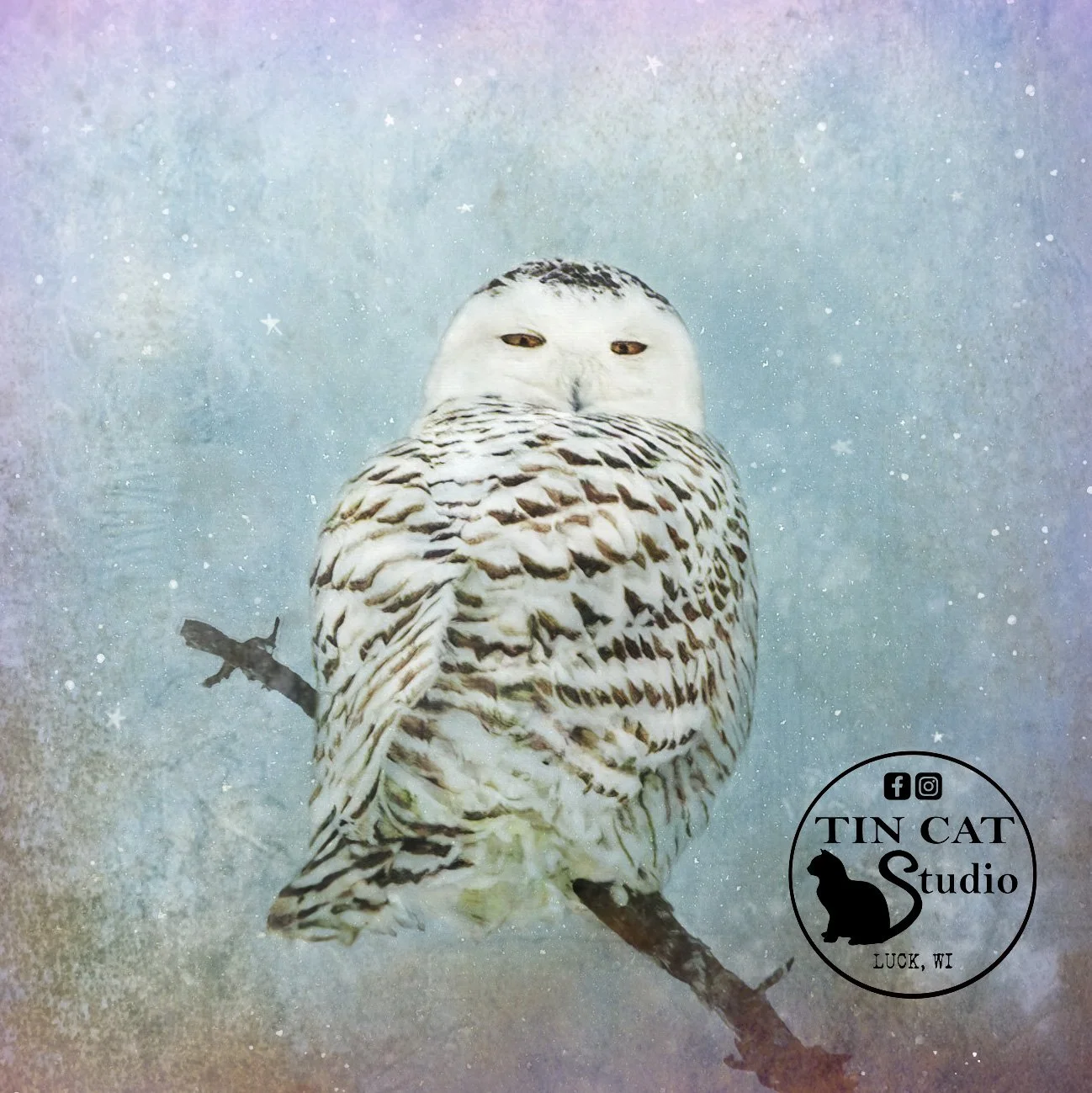 Snowy Sentinel copy.jpg