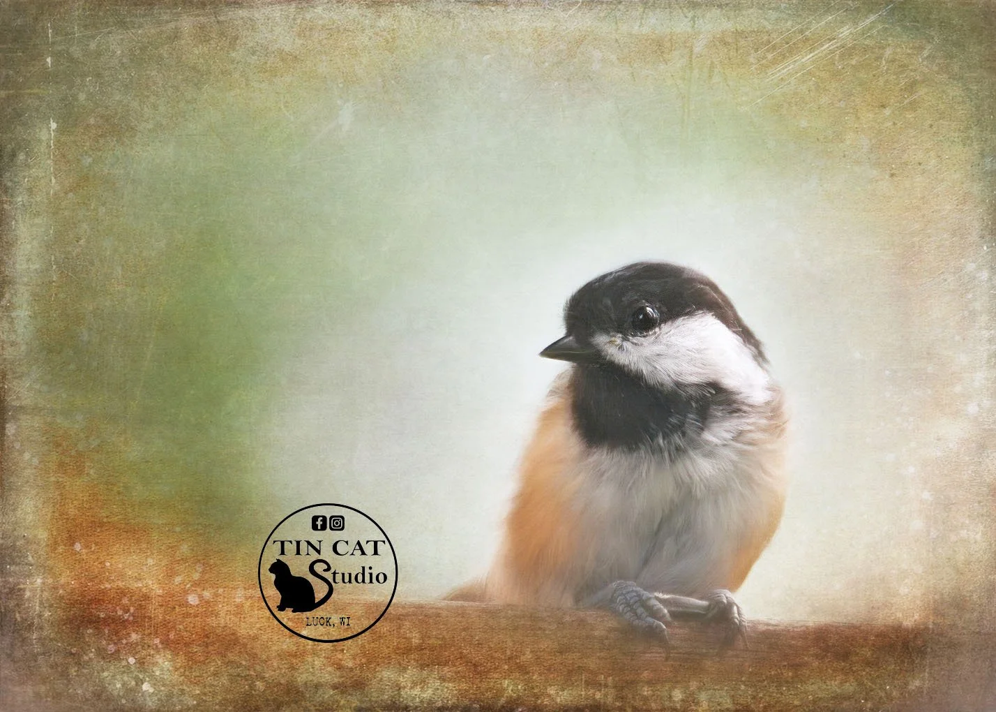 NEW chickadee-logo-card.jpg