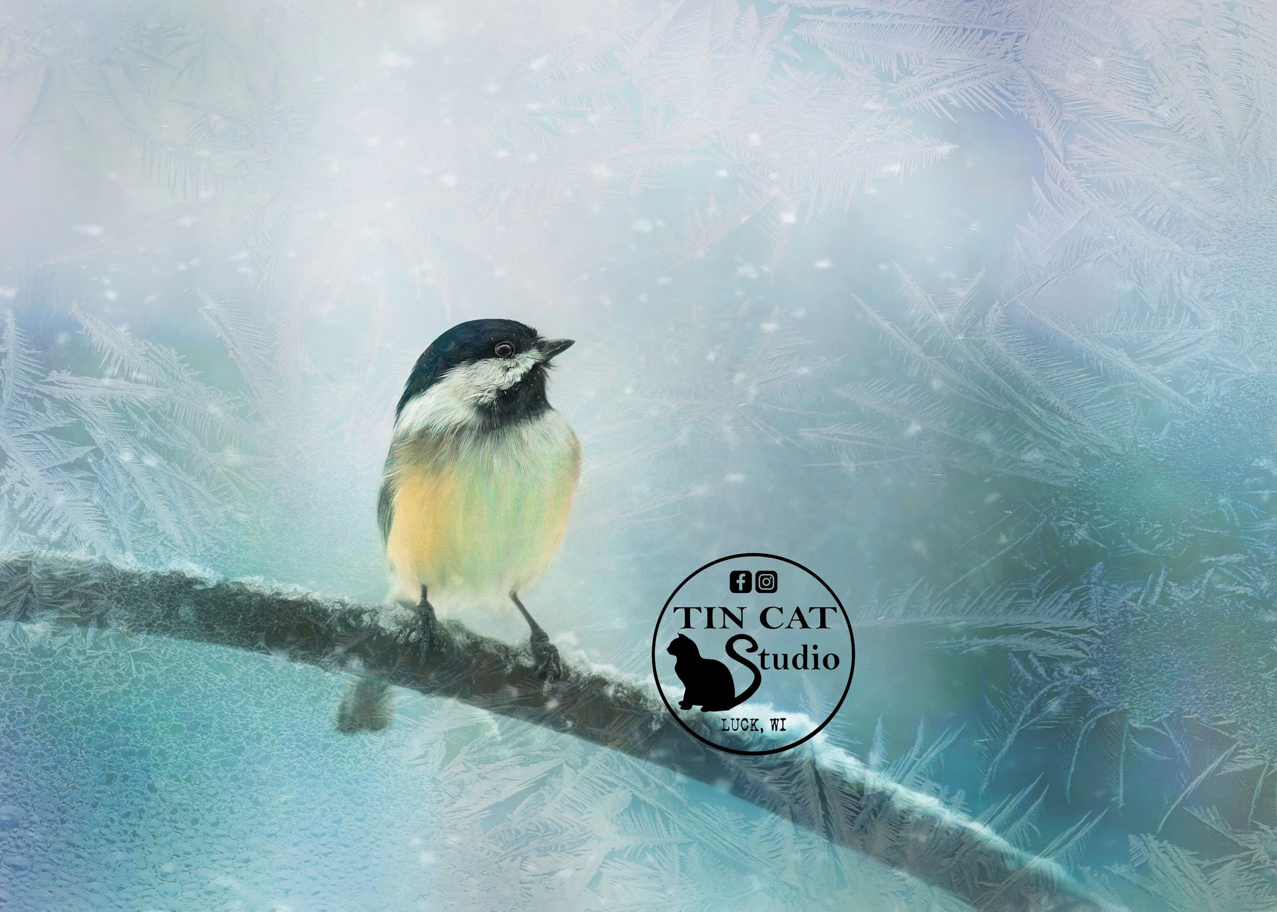 Winter Chick-logo-card.jpg