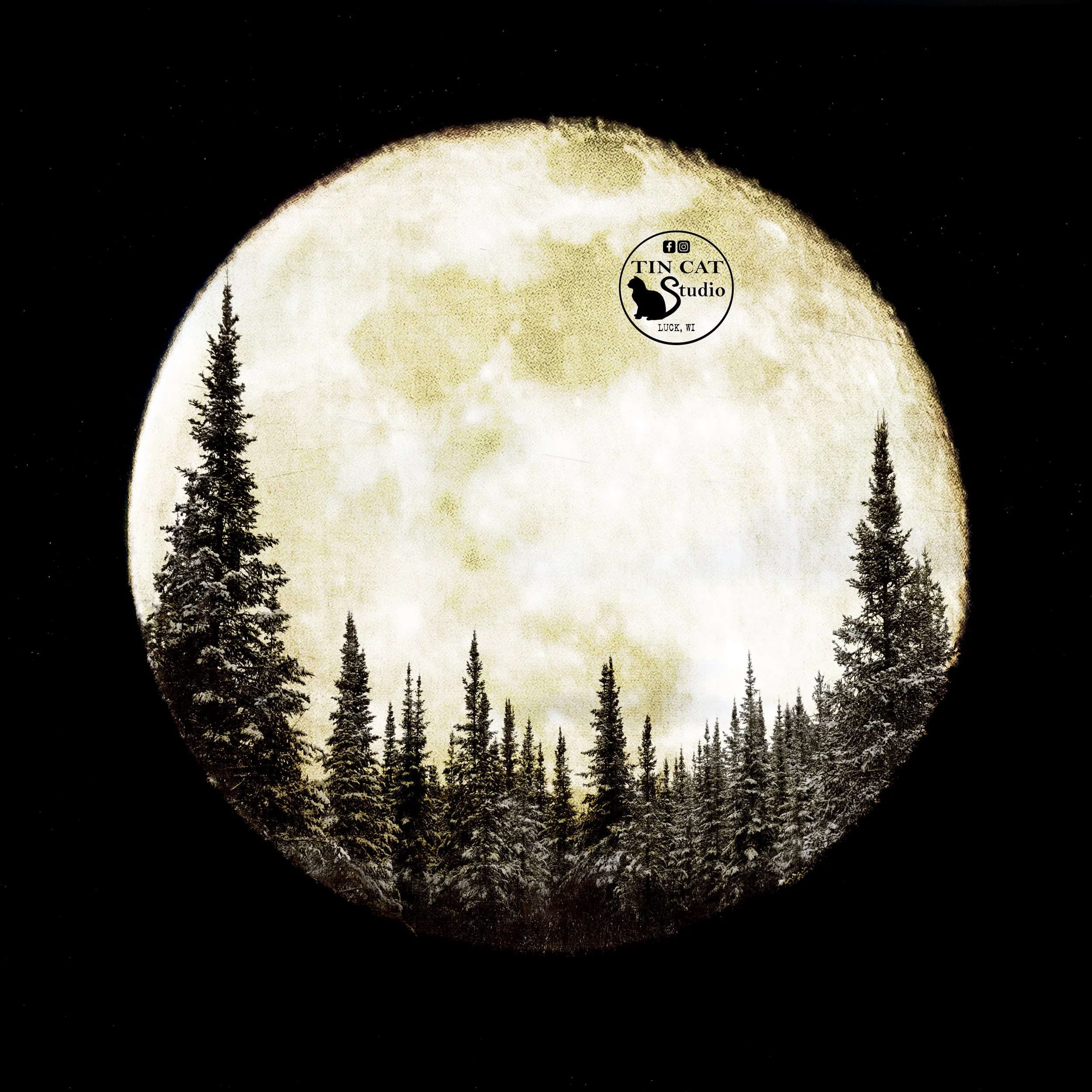 Midnight Silhouette SQ LOGO.jpg