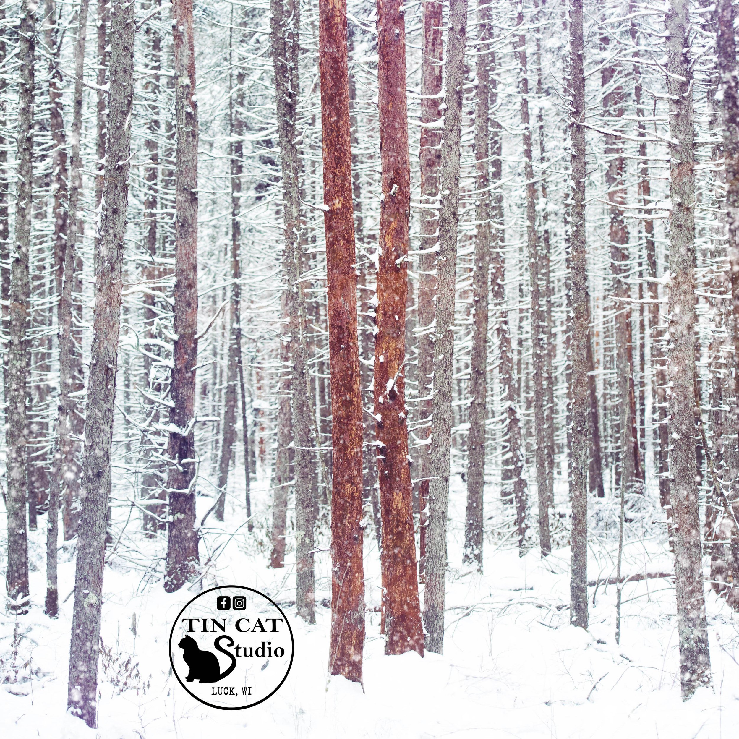 Pine Haven square LOGO.jpg