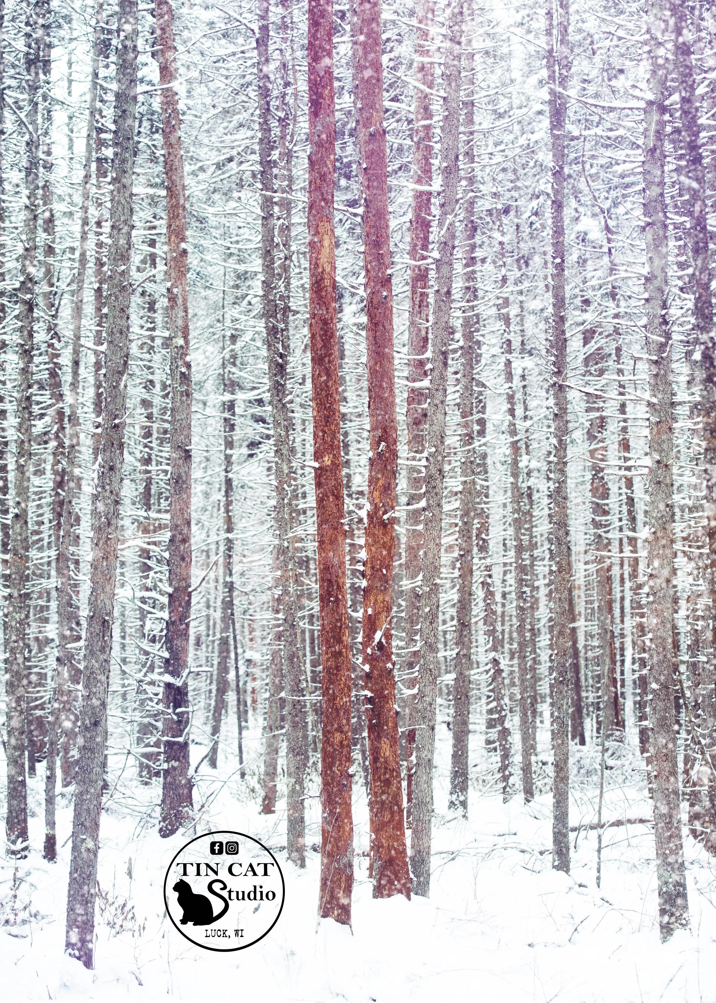 Pine Haven 5x7 LOGO.jpg