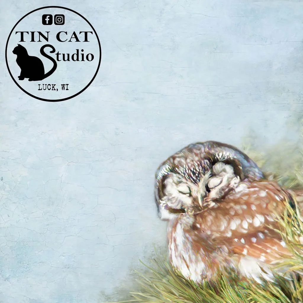 Sleepyhead square LOGO.jpg