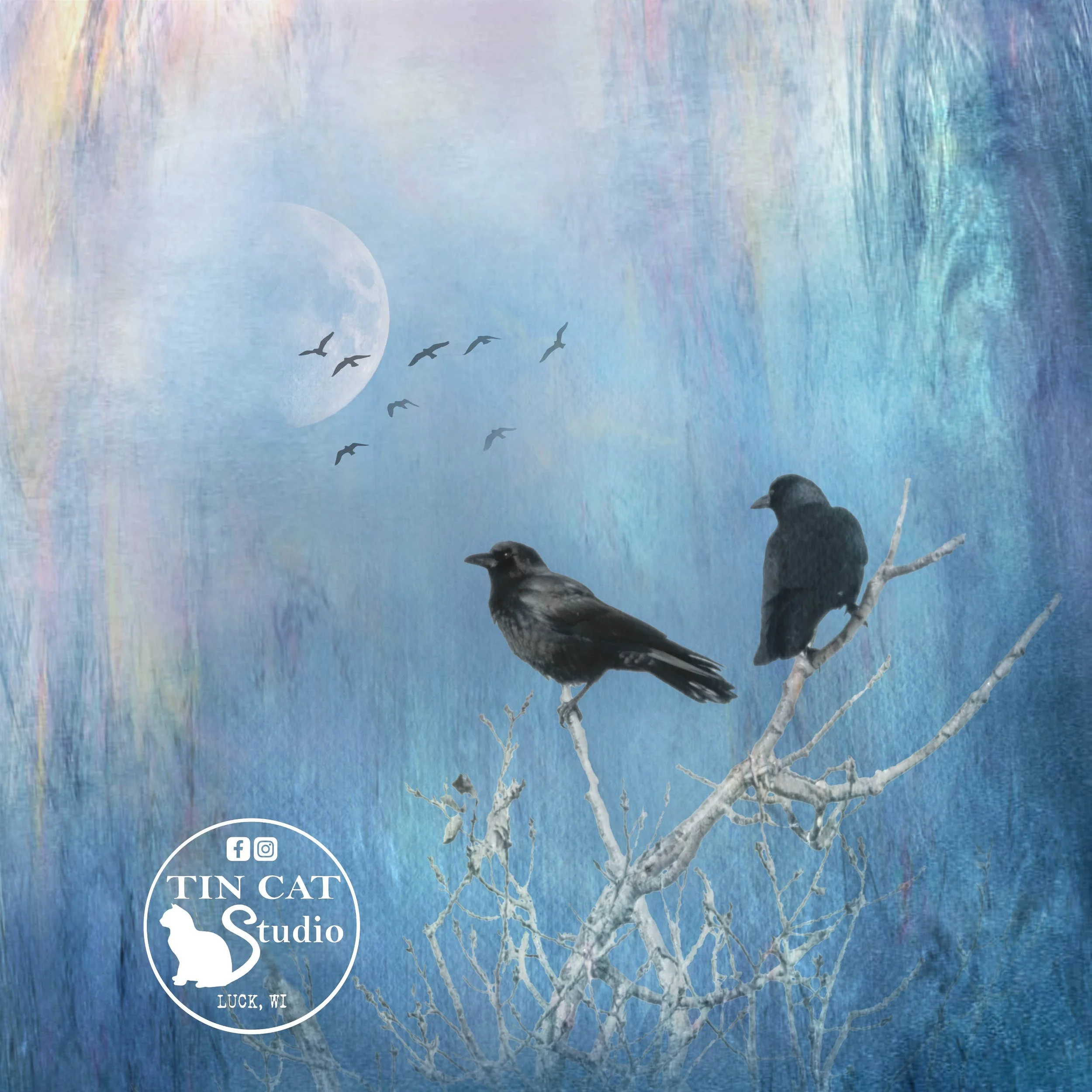 logo Nocturnal Gathering.jpg