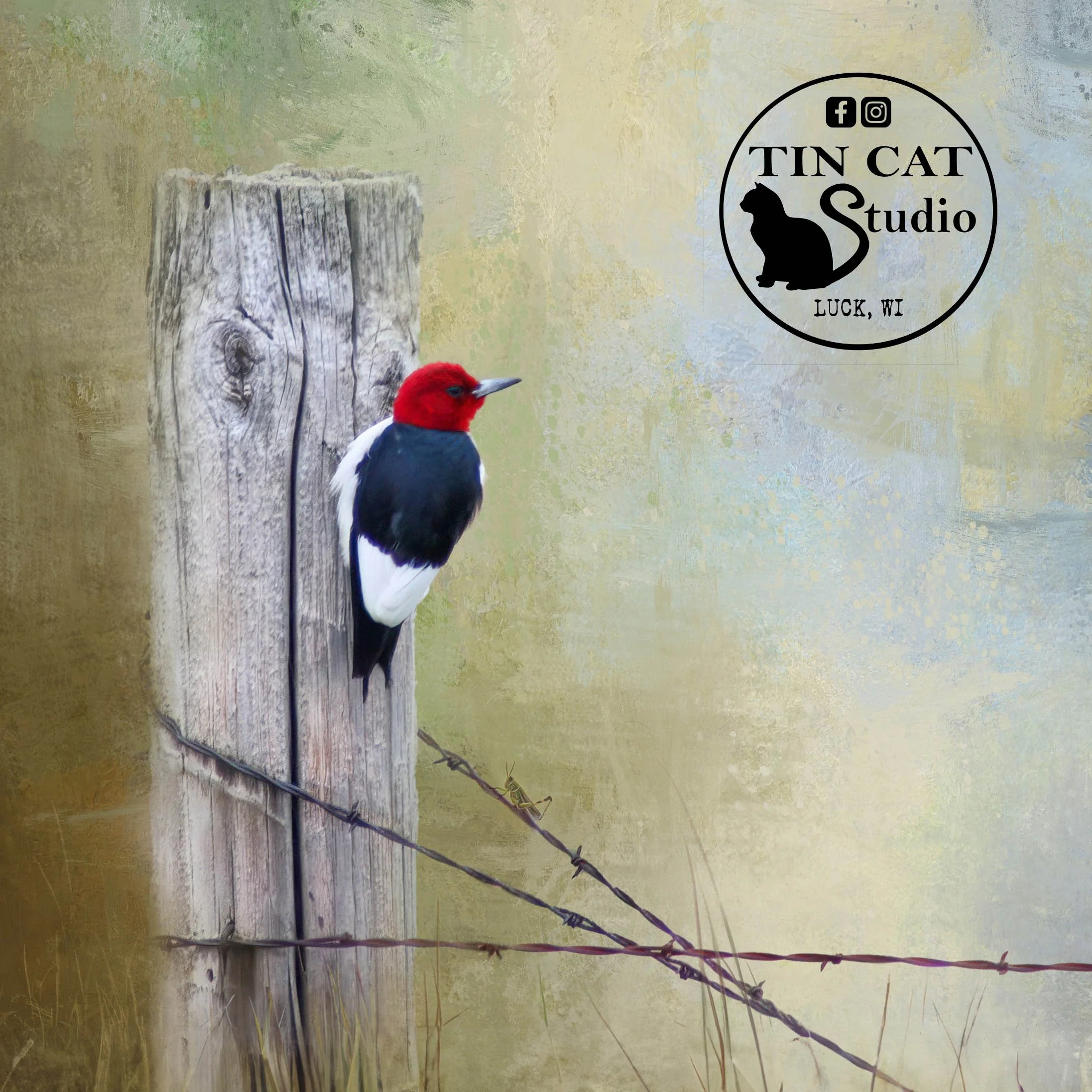 Red Headed Woodpecker mini LOGO.jpg