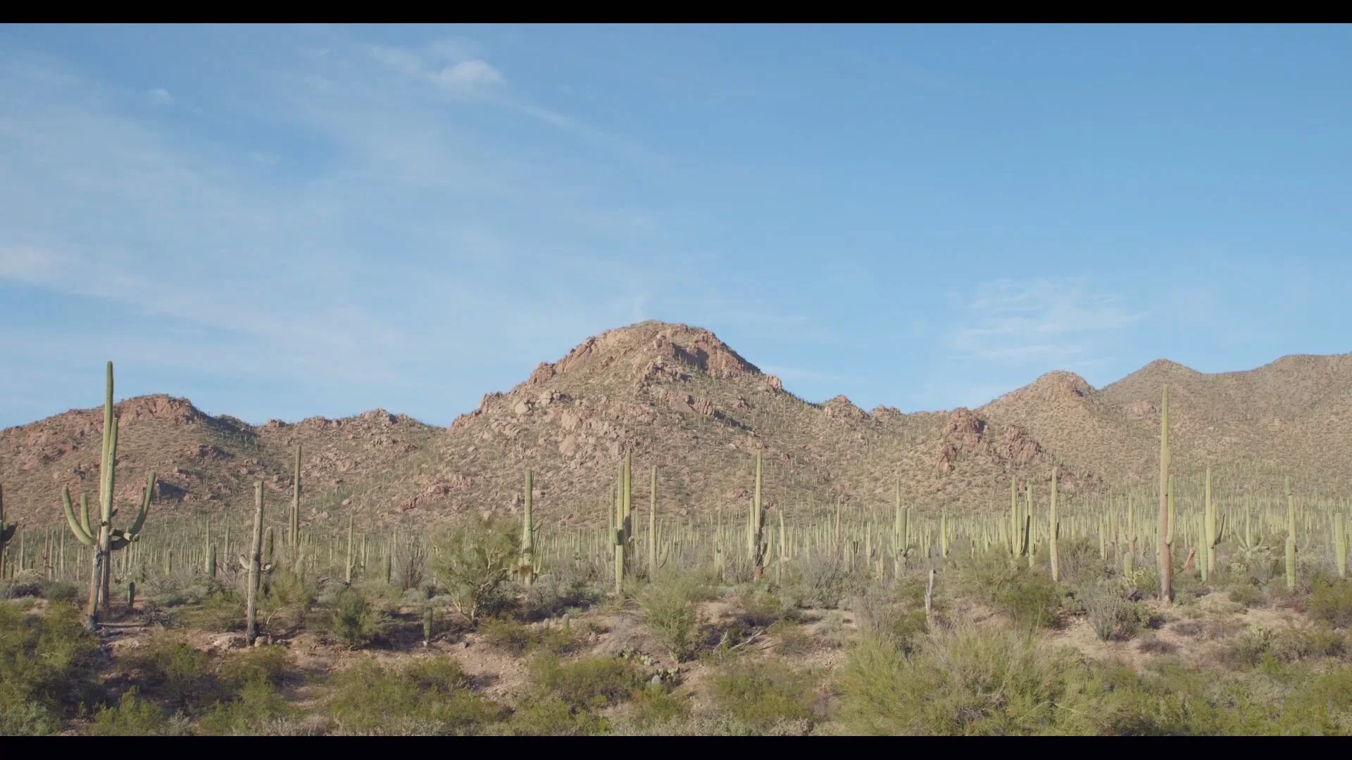 Destination Wedding Film in the desert