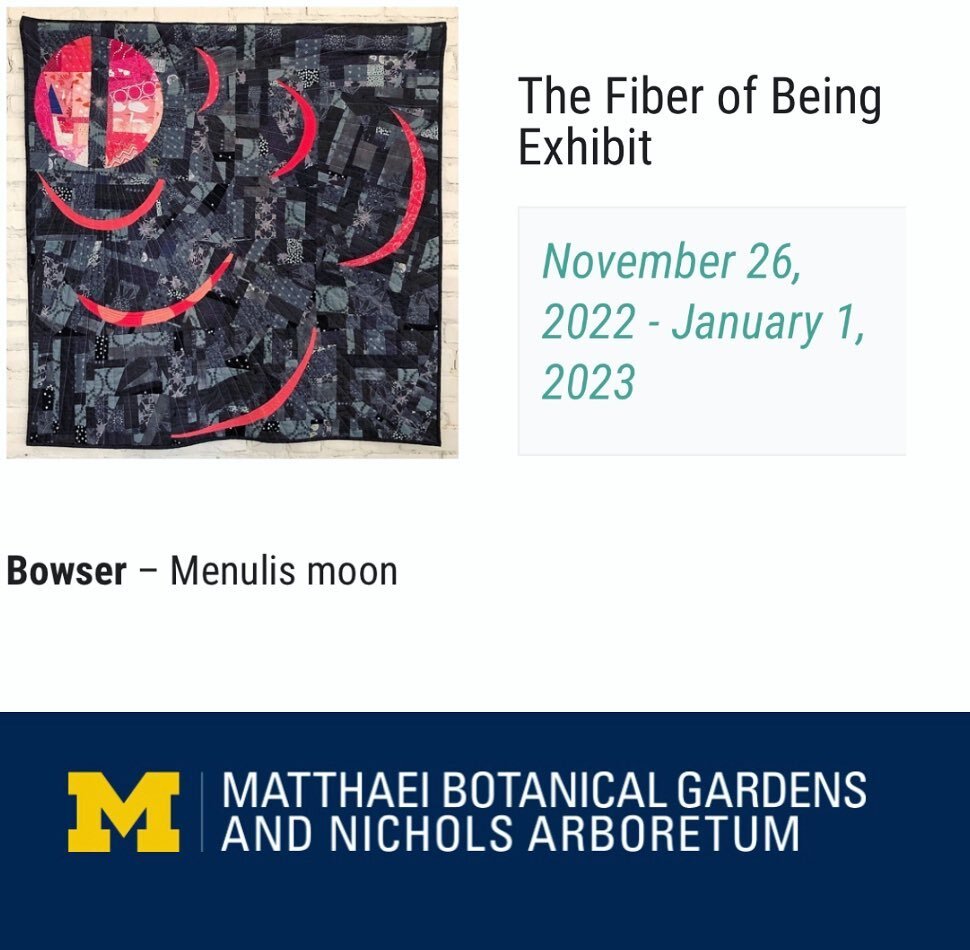 If you live in Ann Arbor or the surrounding area you can go see my work in person along with other cool fiber related art!
.
#annarborartist #michiganartist #puremichigan #goblue