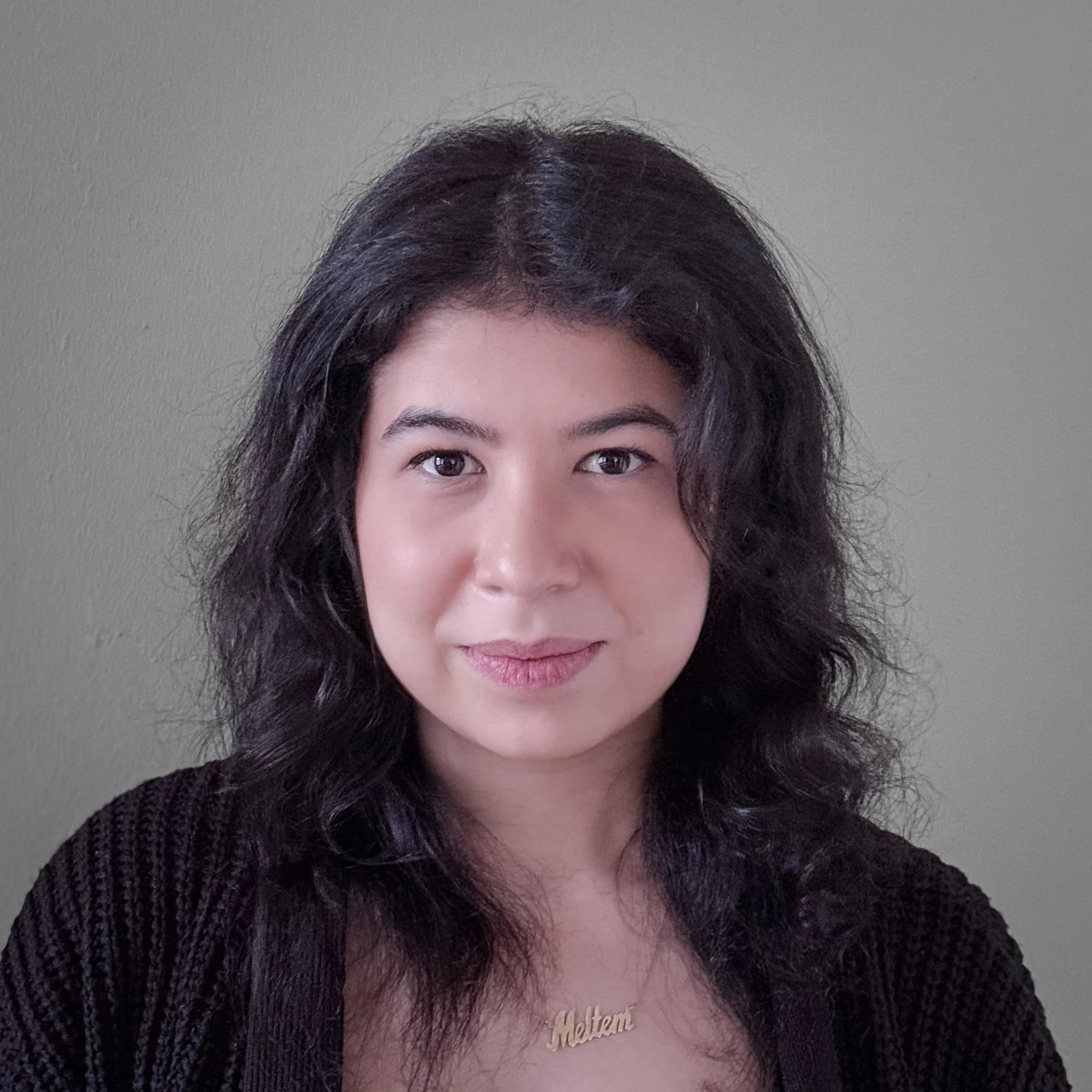 Meltem Tozan M.A. Architektur