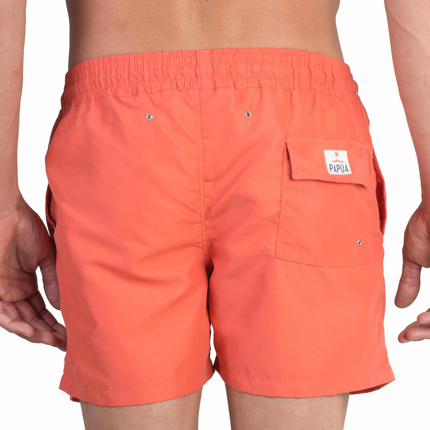 Coral5WEB copy.jpg
