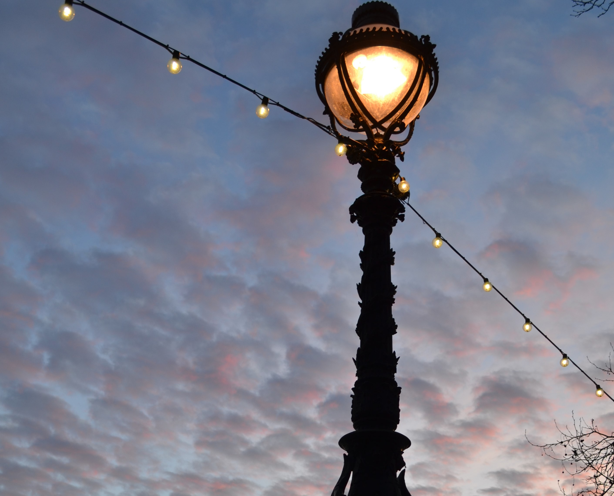 canva-photo-editor (1).png