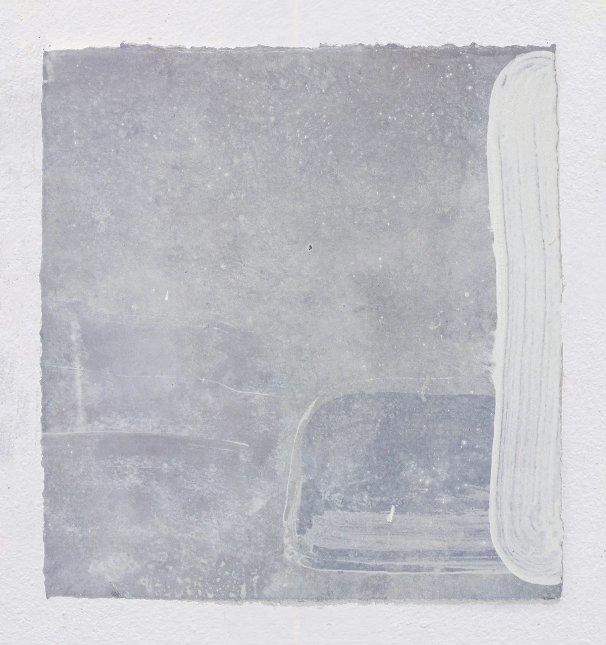 Coastal forms 5