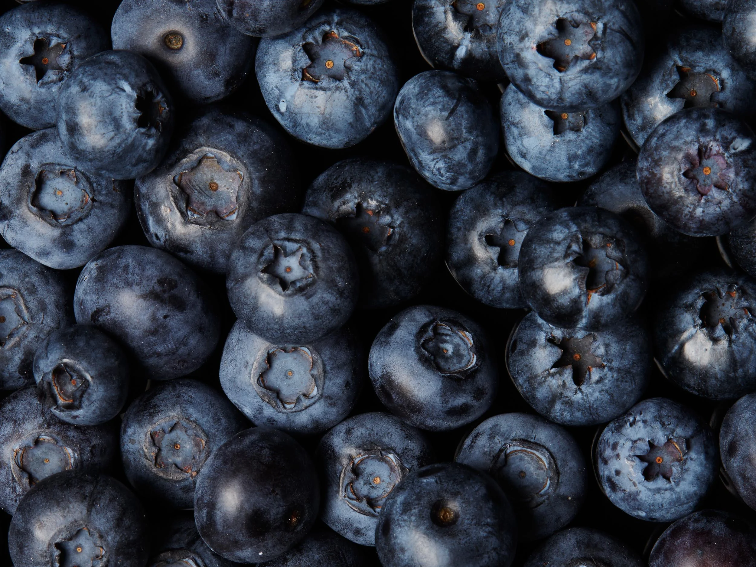 Blueberries