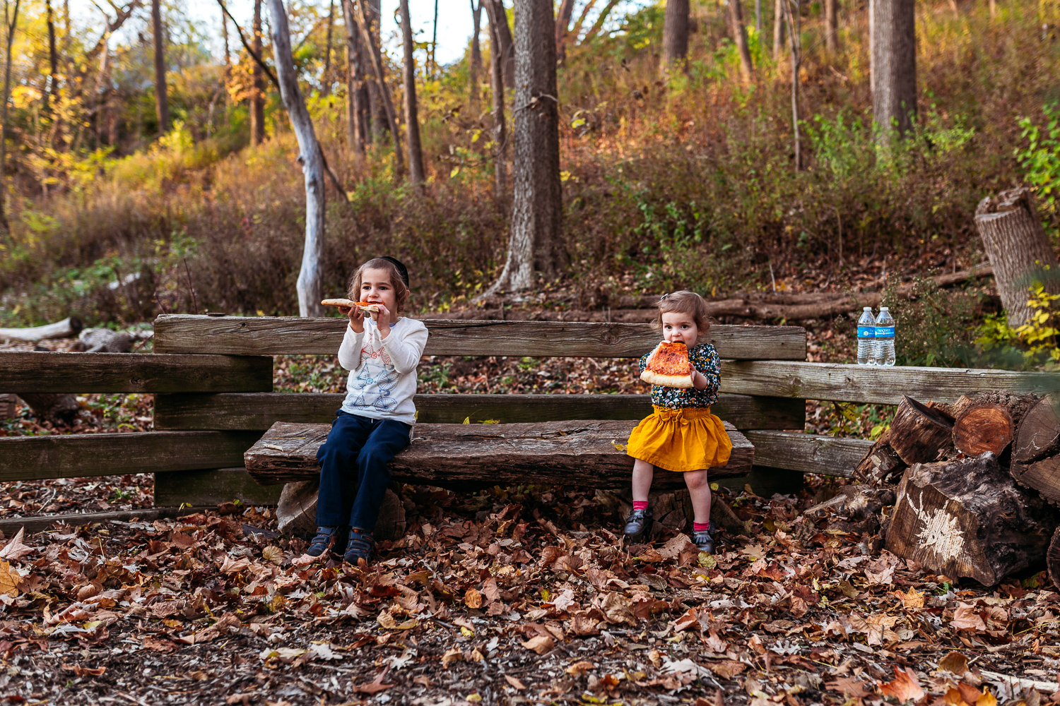 milwaukee-child-photographer-fall-12.jpg