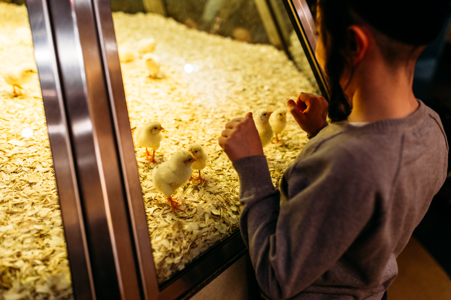 Milwaukee-family-photograper-museum-chicago-5.jpg