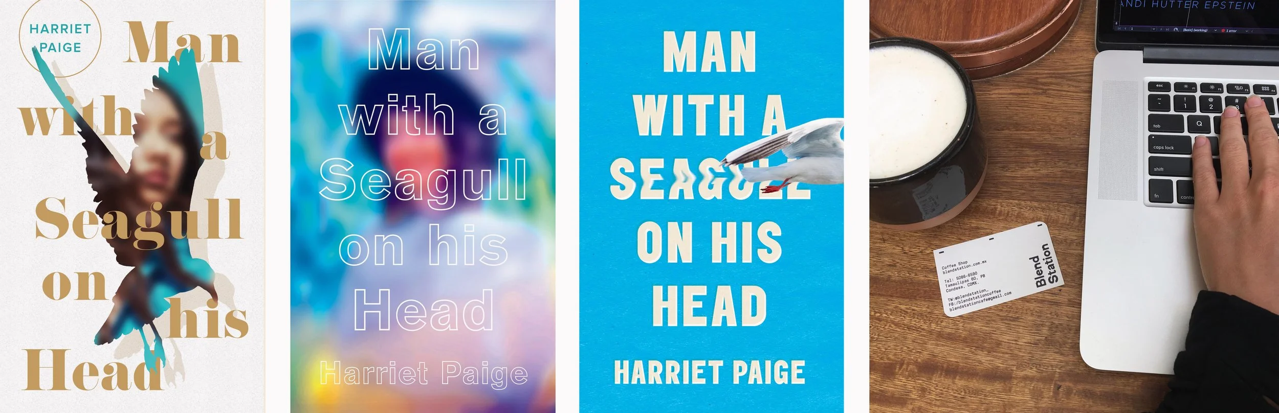 Designs for Man With a Seagull on his Head for Biblioasis, designed in February from Mexico City
