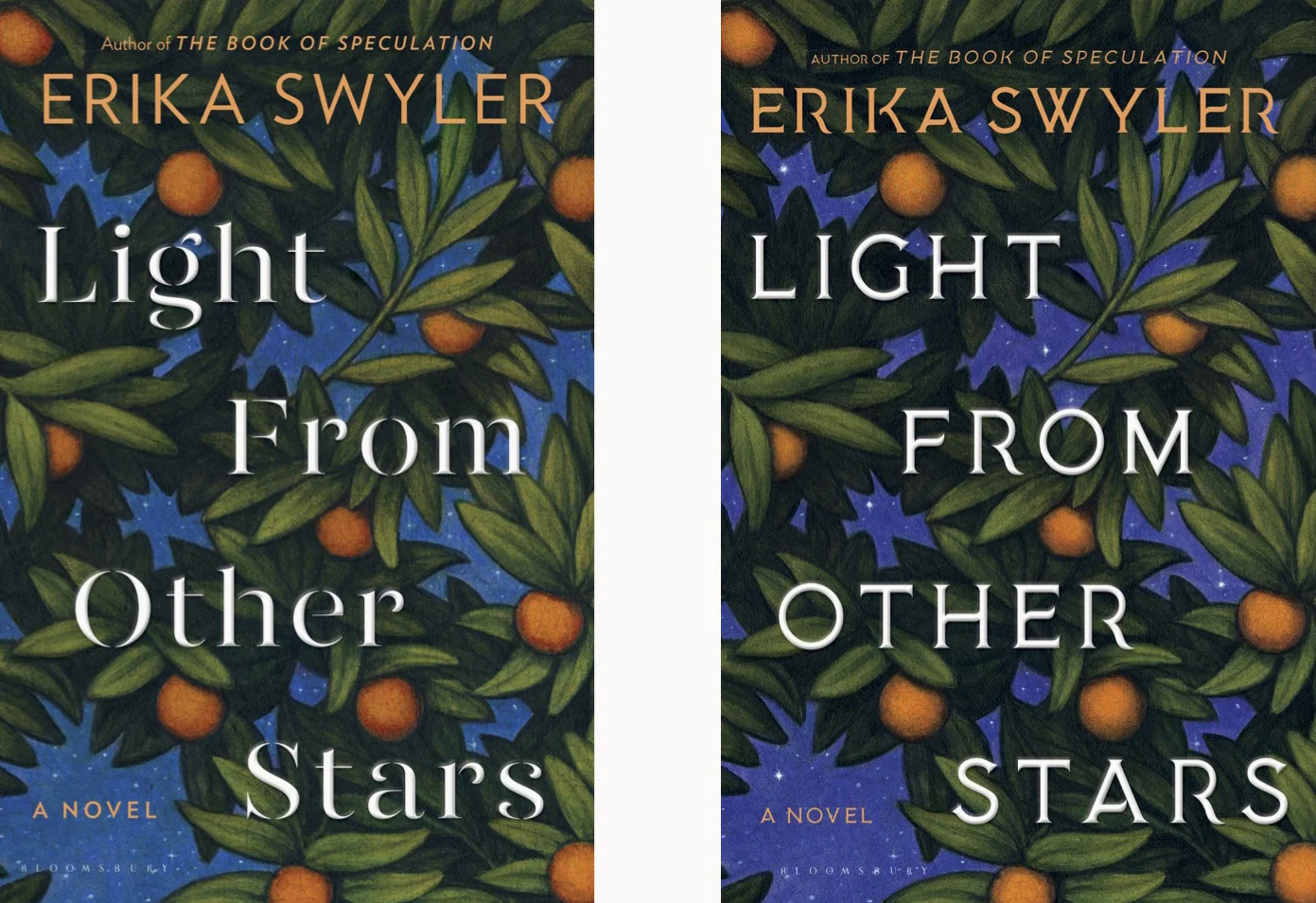 Penultimate Cover Concept and Final Cover by Patti Ratchford