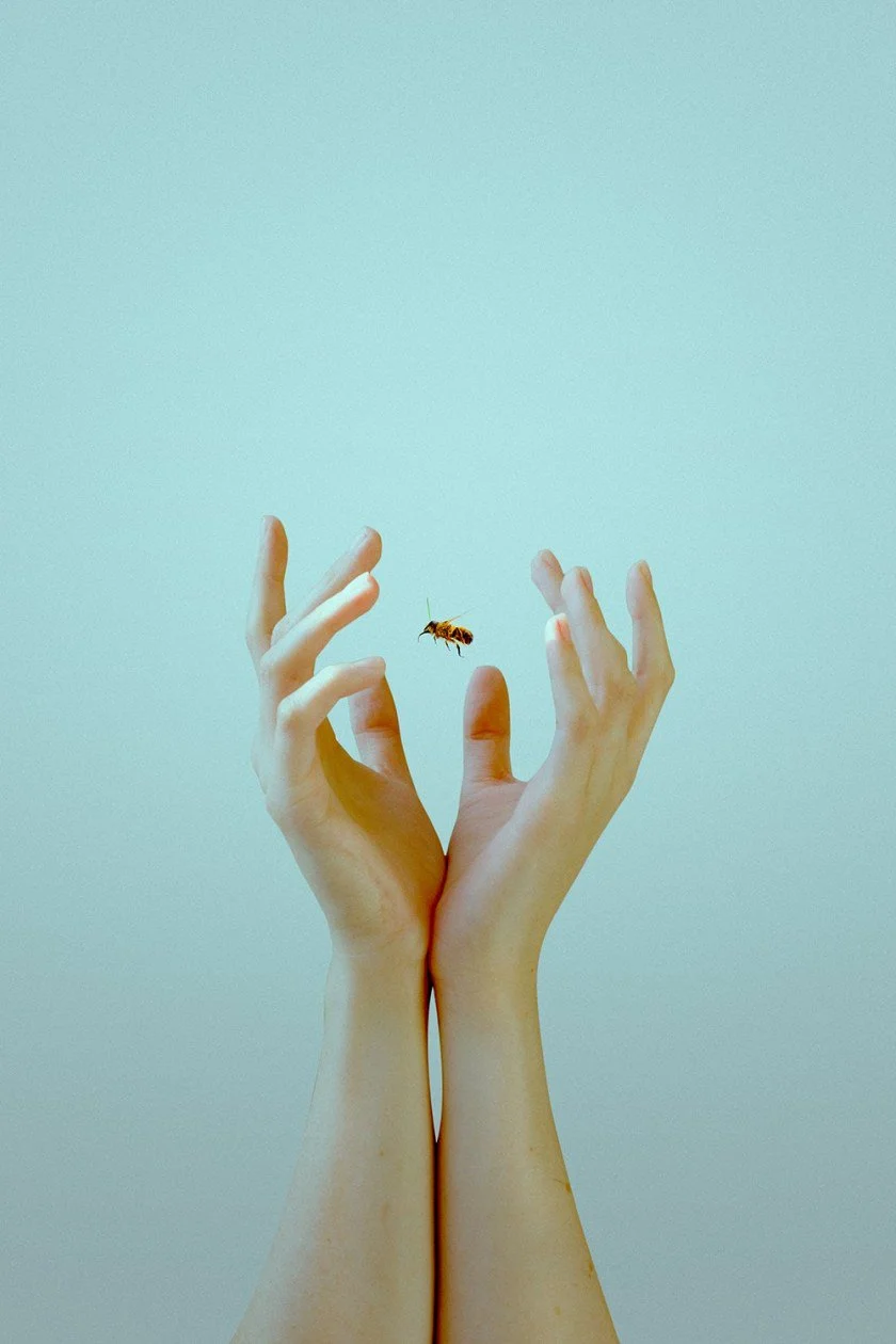 Photo: Jasmine Aurora Poole