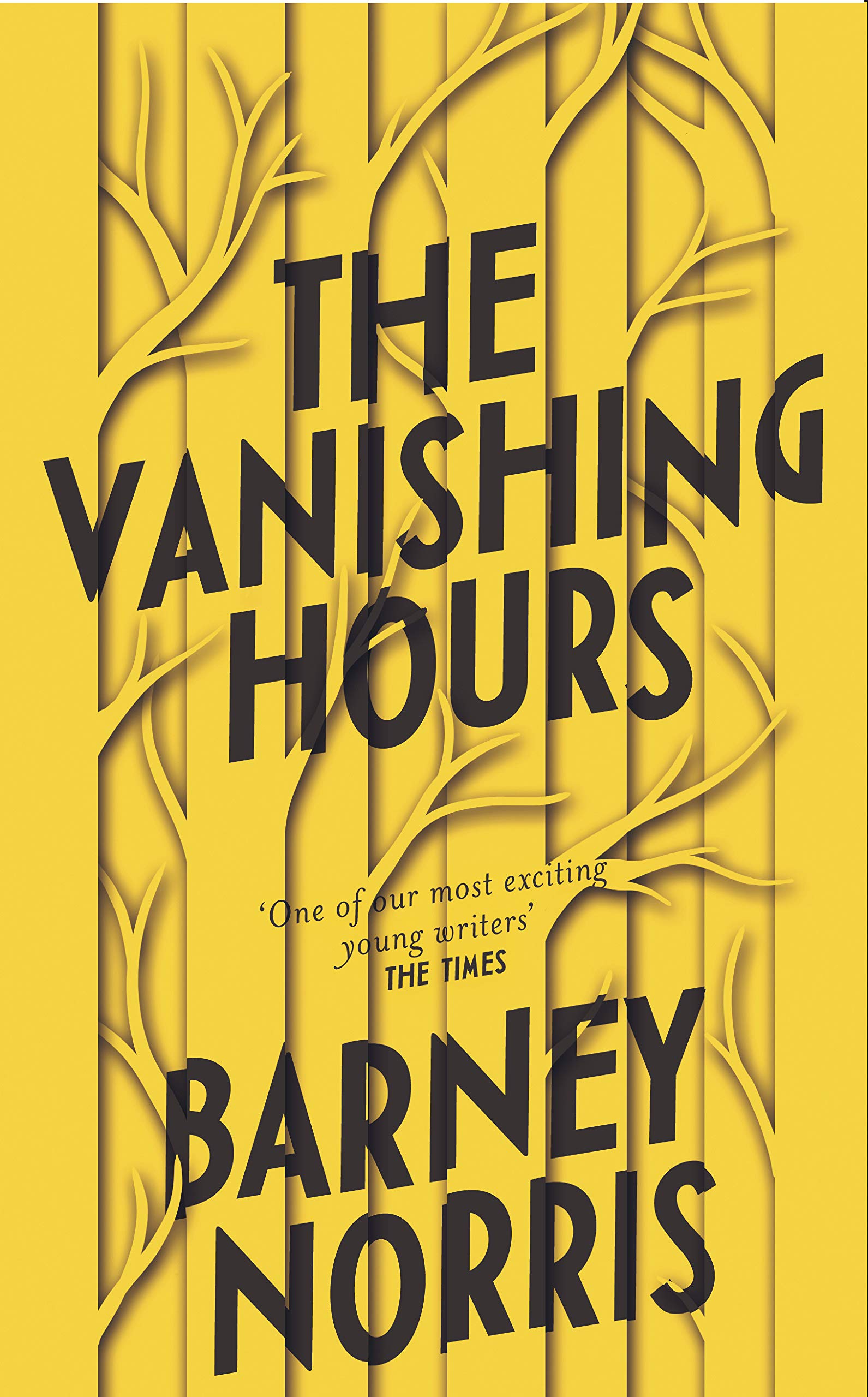 SPINE-Jo Thomson, Bringing to Light the Cover for The Vanishing Hours