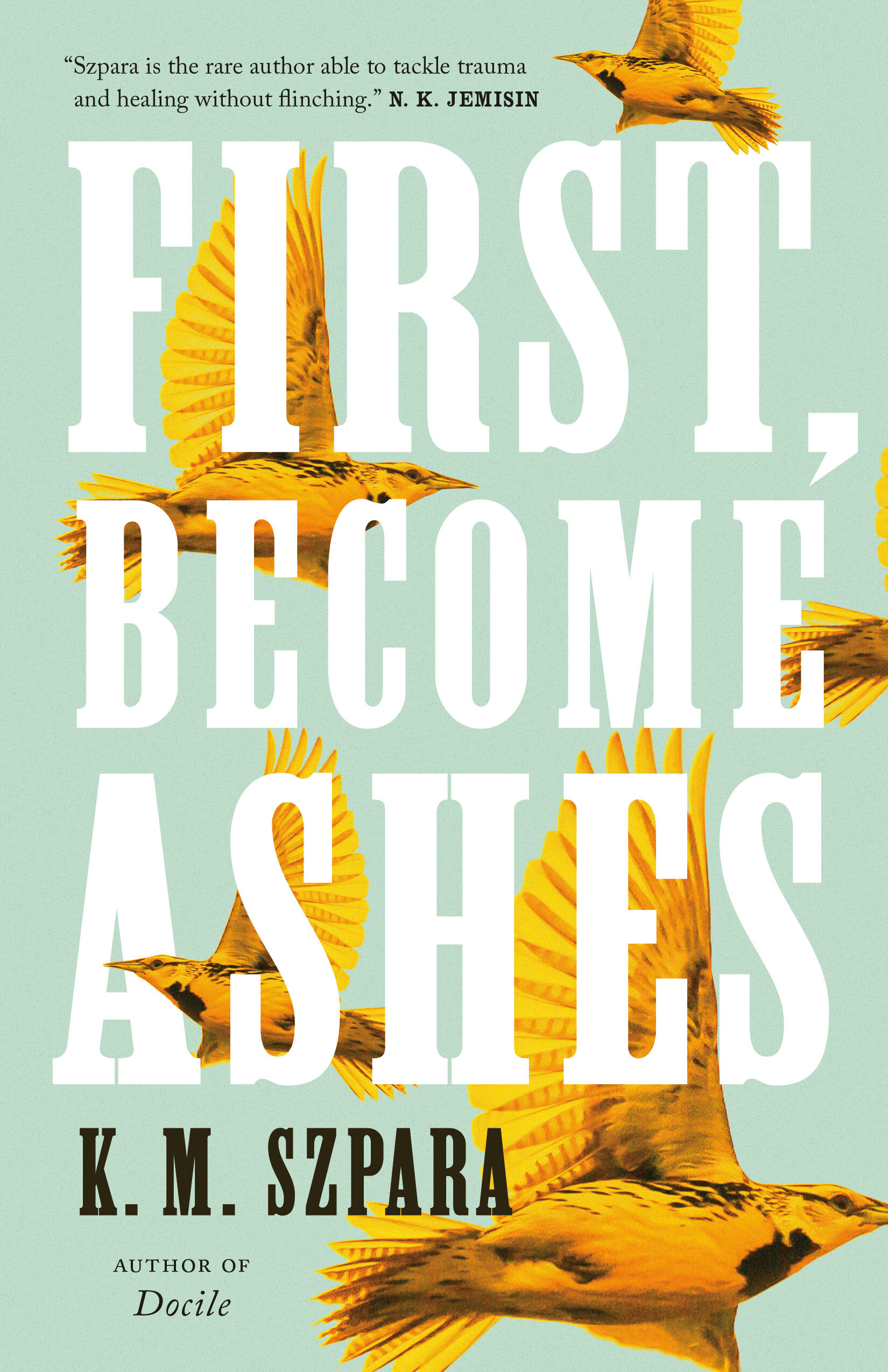 Jamie Stafford-Hill on Designing First, Become Ashes