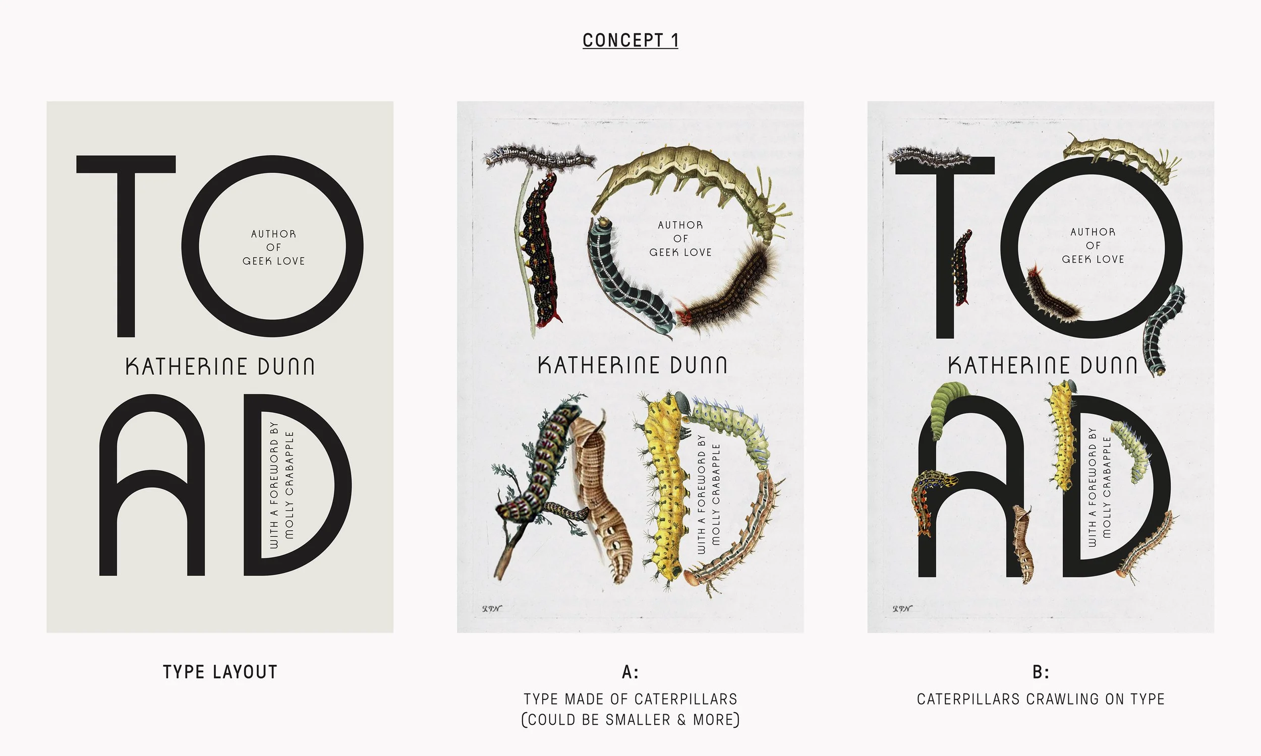 Toad Spine SPINE-June Park on Designing Katherine Dunn's Toad