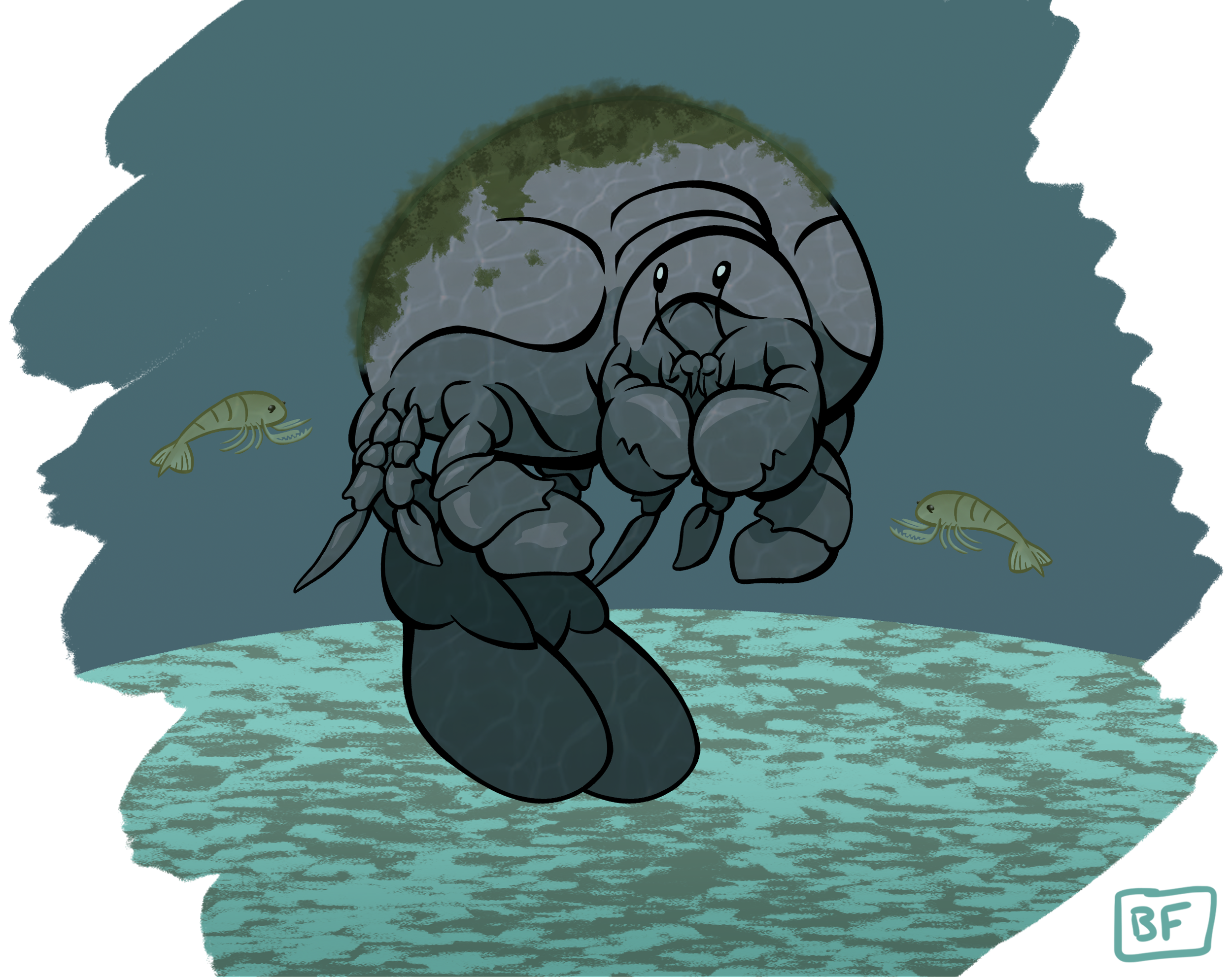 1.Manatee Crab.png