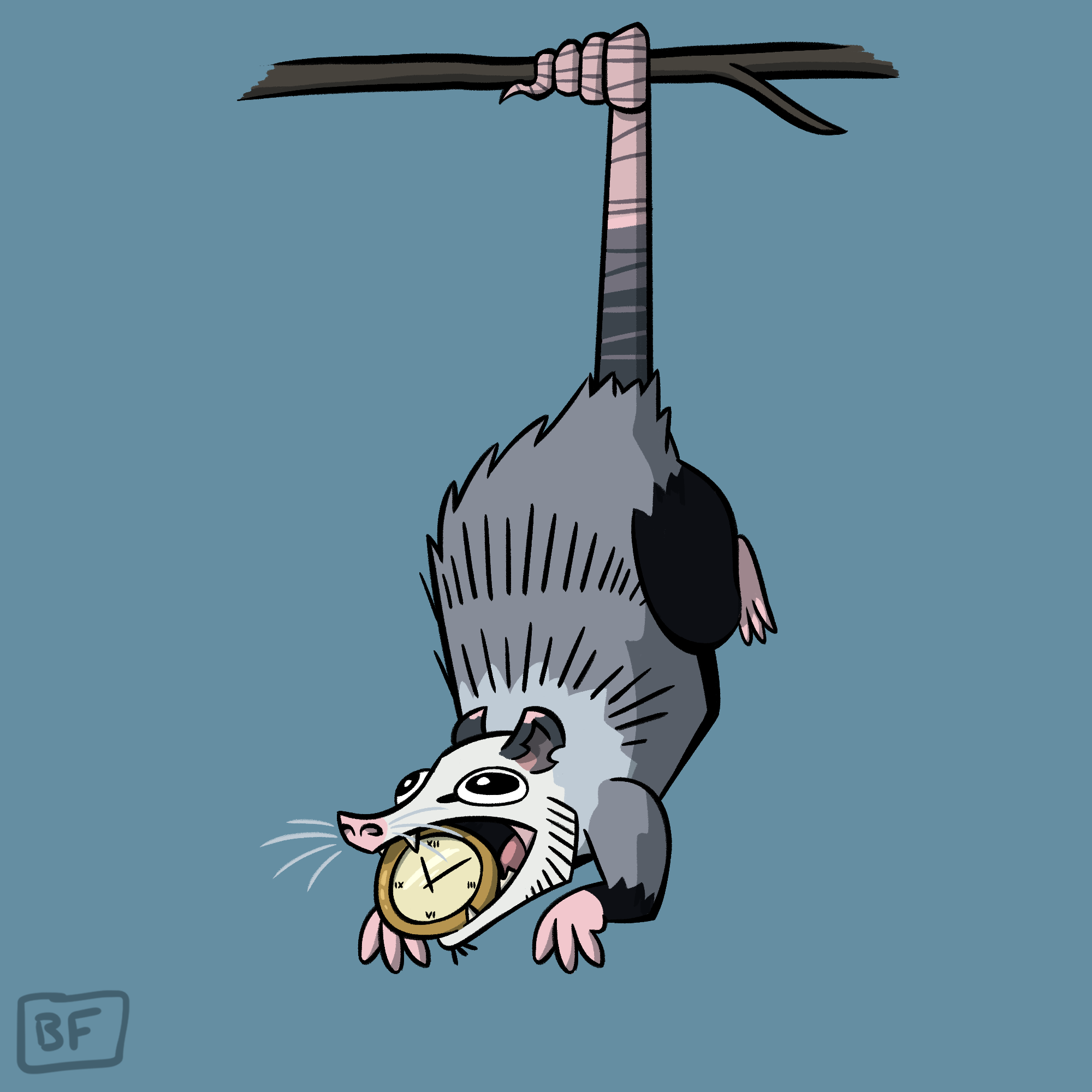 Day 8. Opossum with a Clock in its Mouth