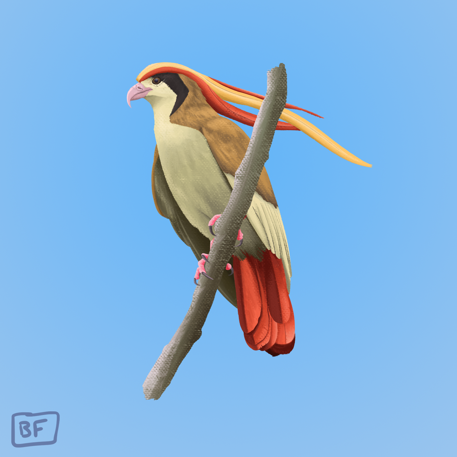 0018.Pidgeot