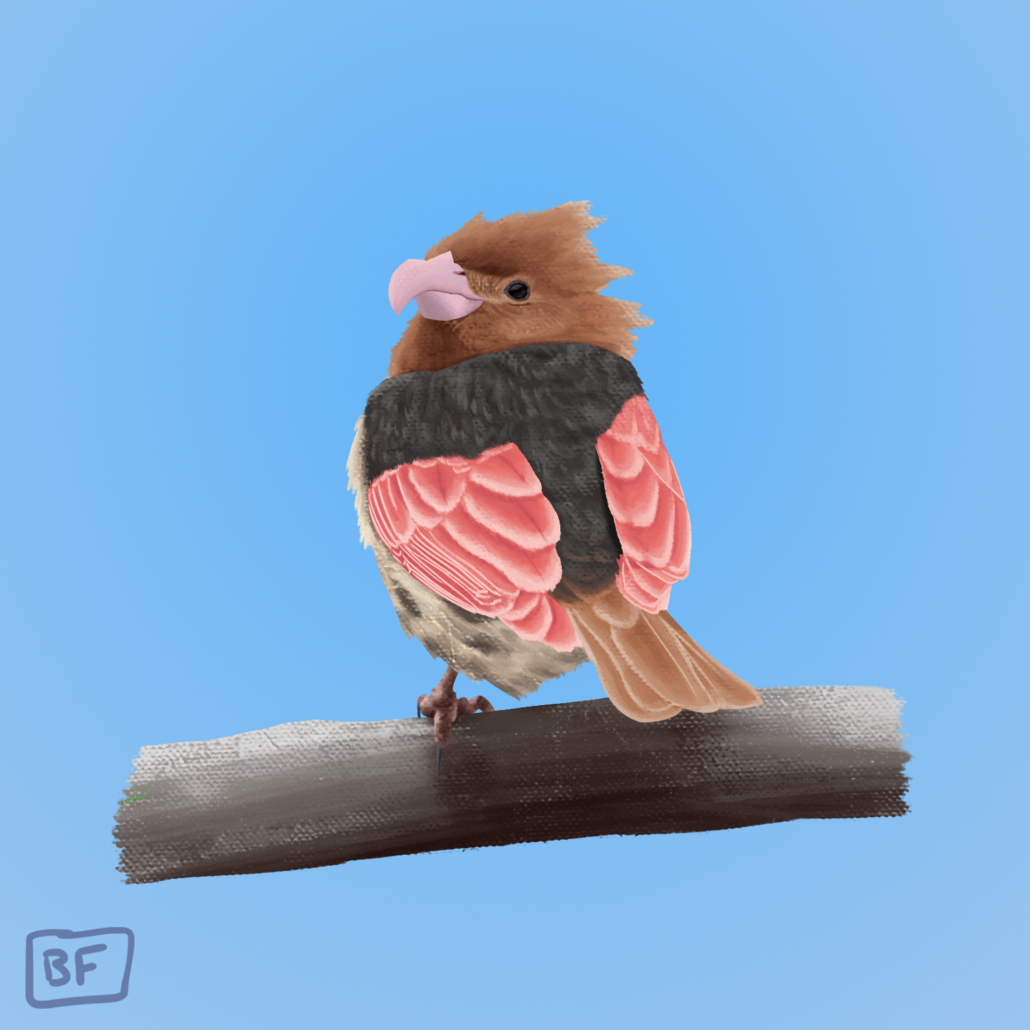 0021. Spearow