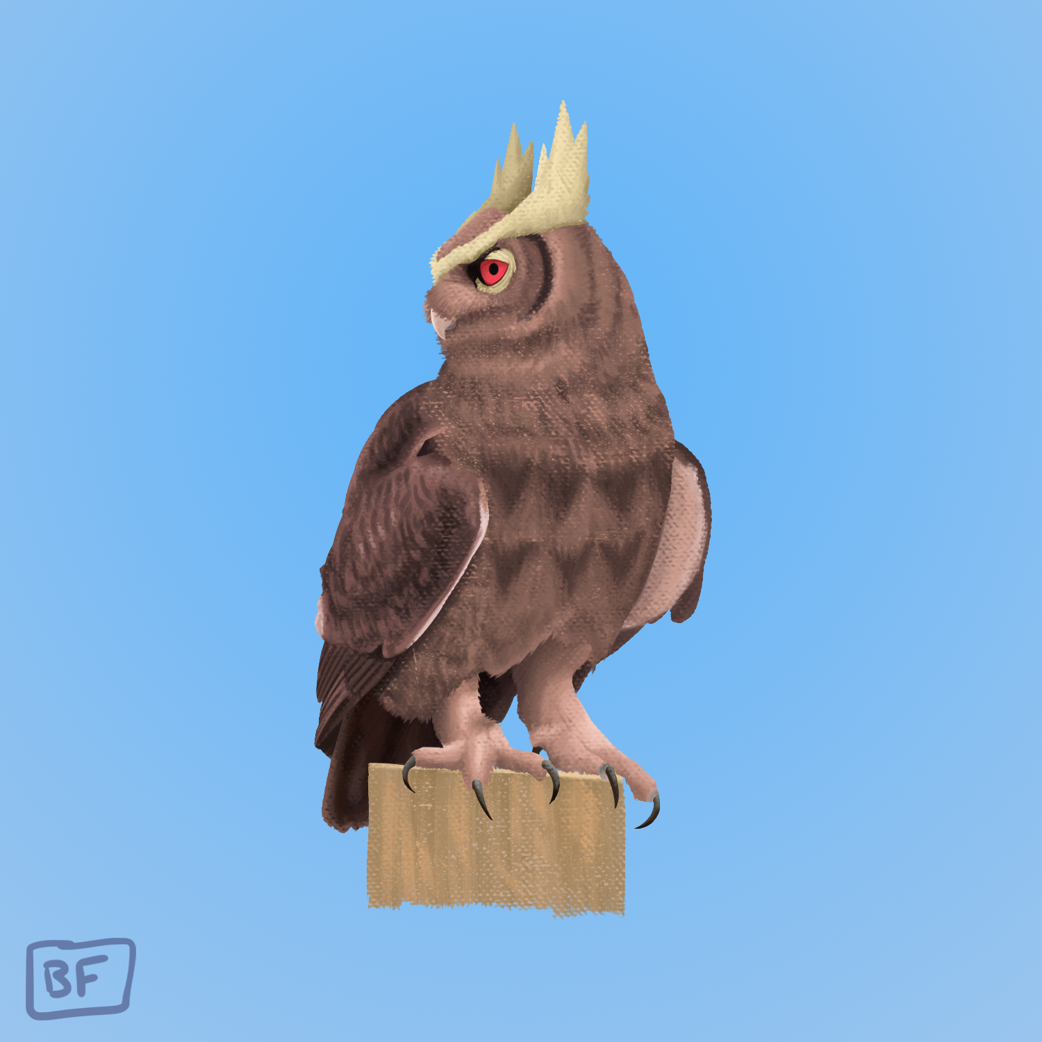 0164. Noctowl