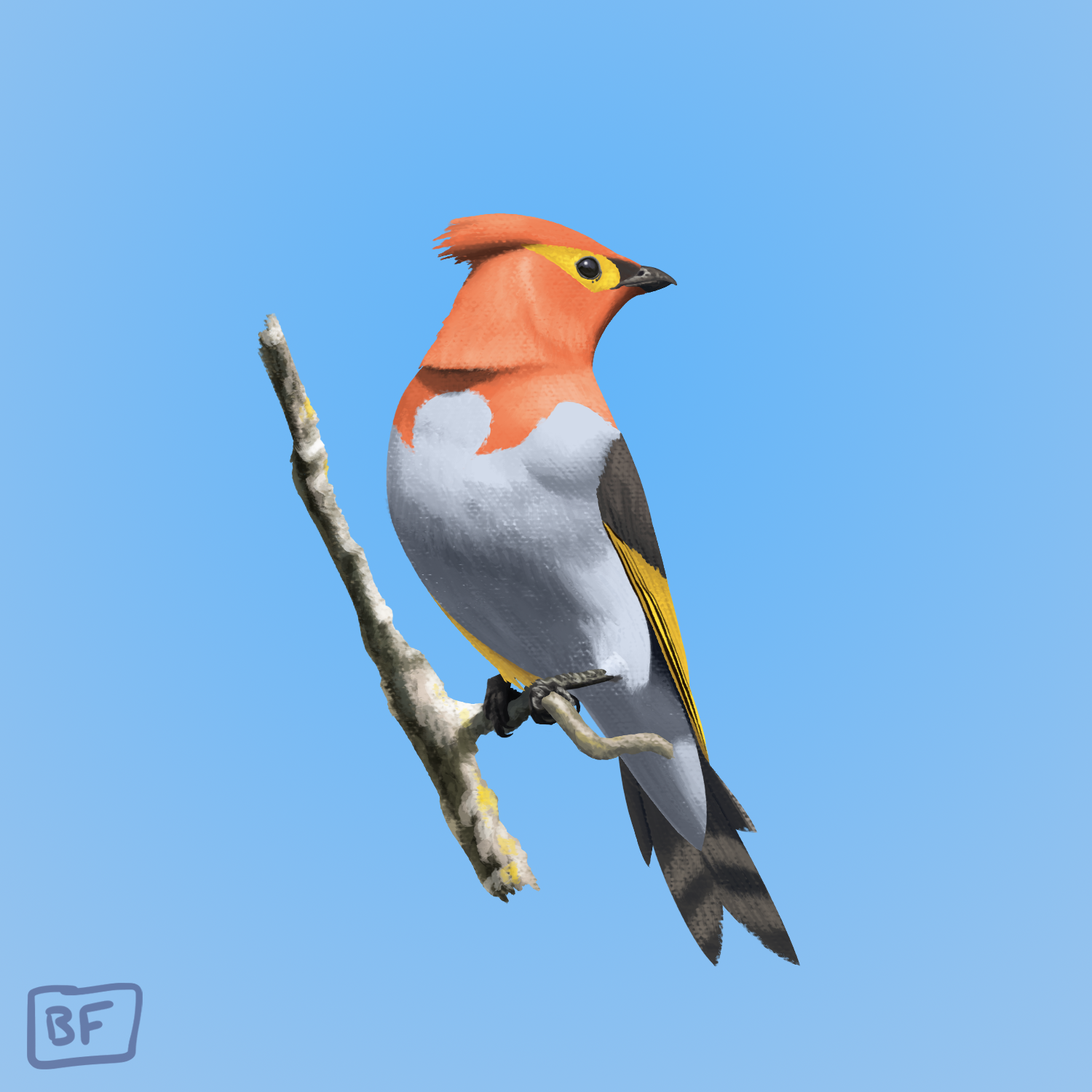 0662. Fletchinder