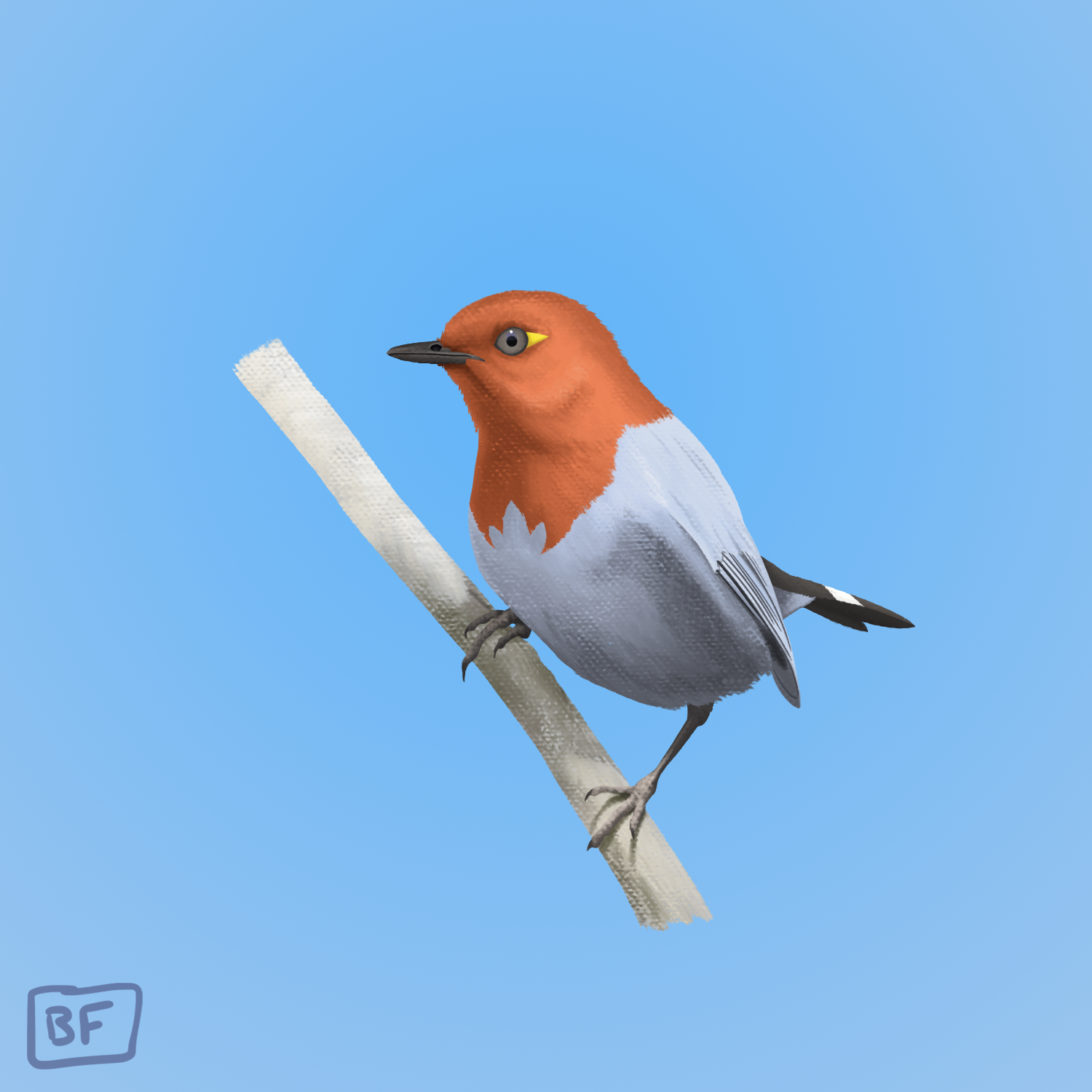 0661. Fletchling