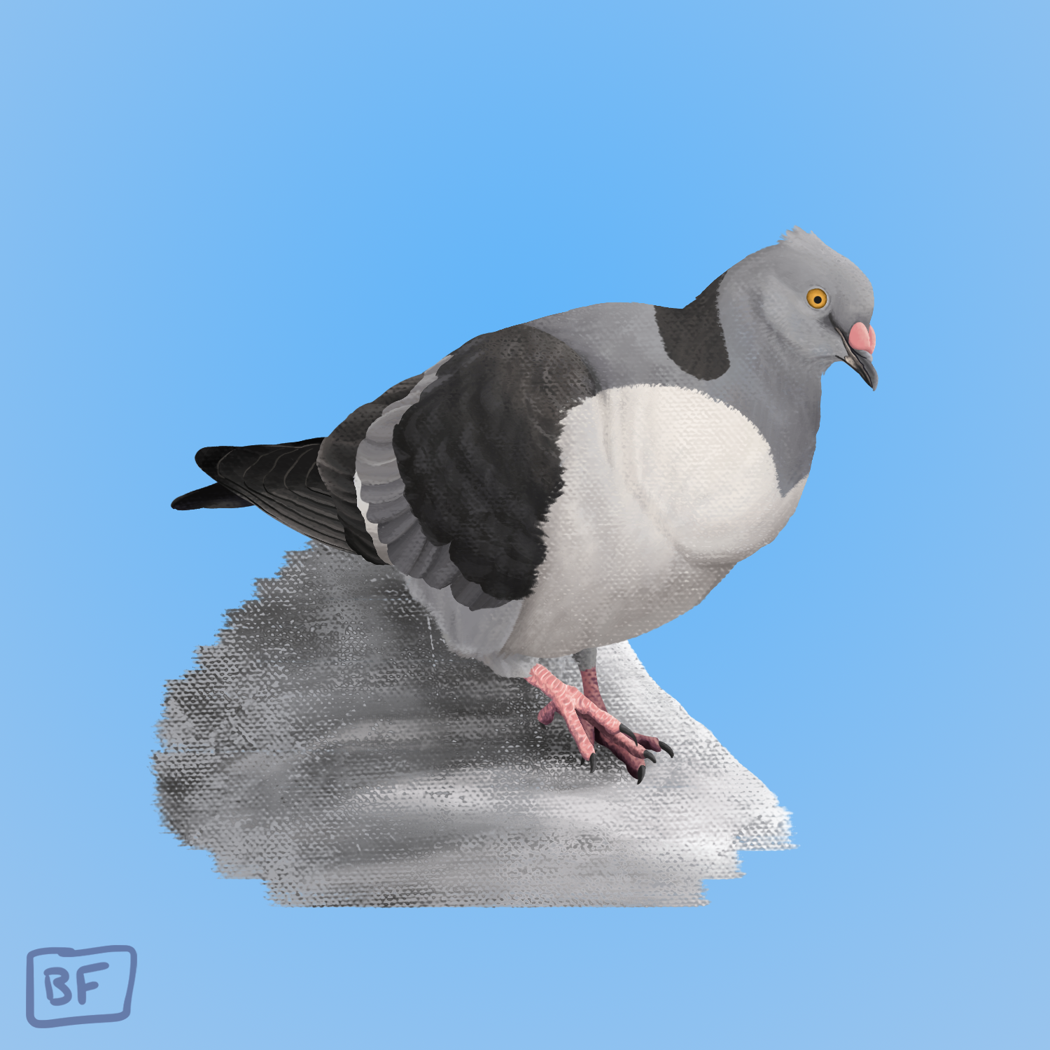 0519. Pidove