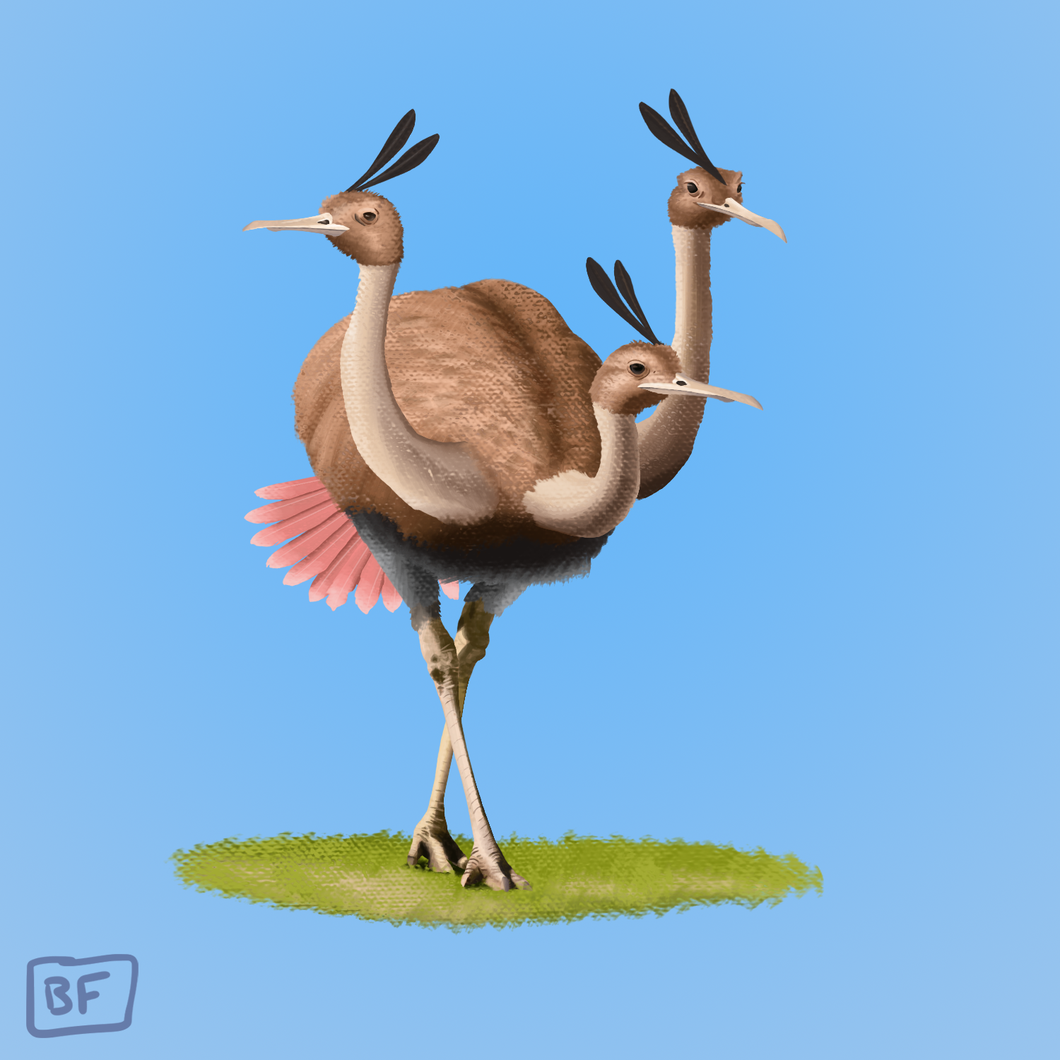 0085. Dodrio