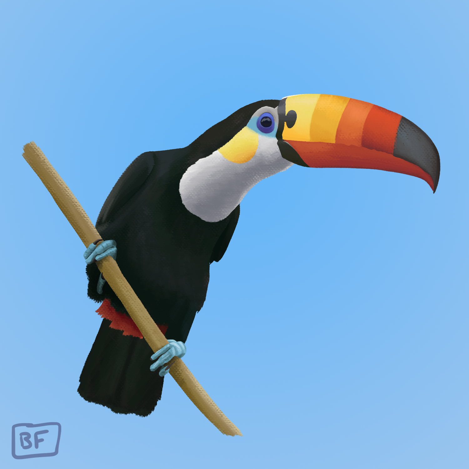 0733. Toucannon