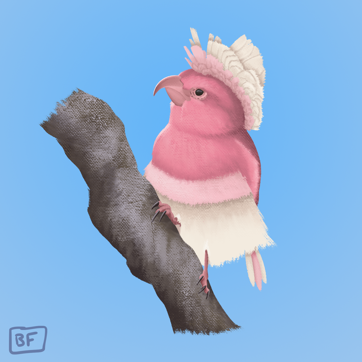 0741. Oricorio (pa'u style)