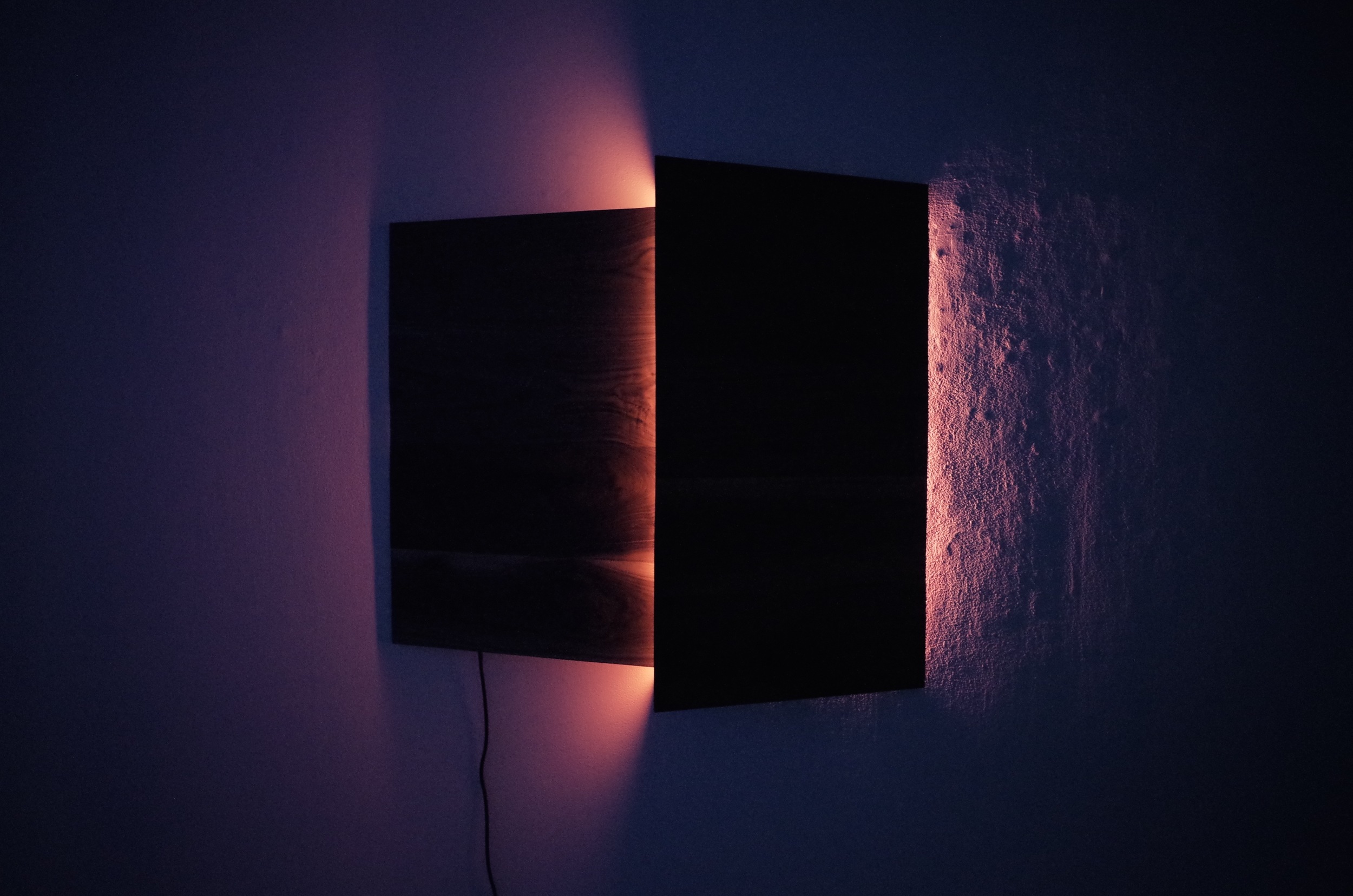 Left Palm, 2015 Walnut wood vessel and pink fluorescent light. 46in x 44in