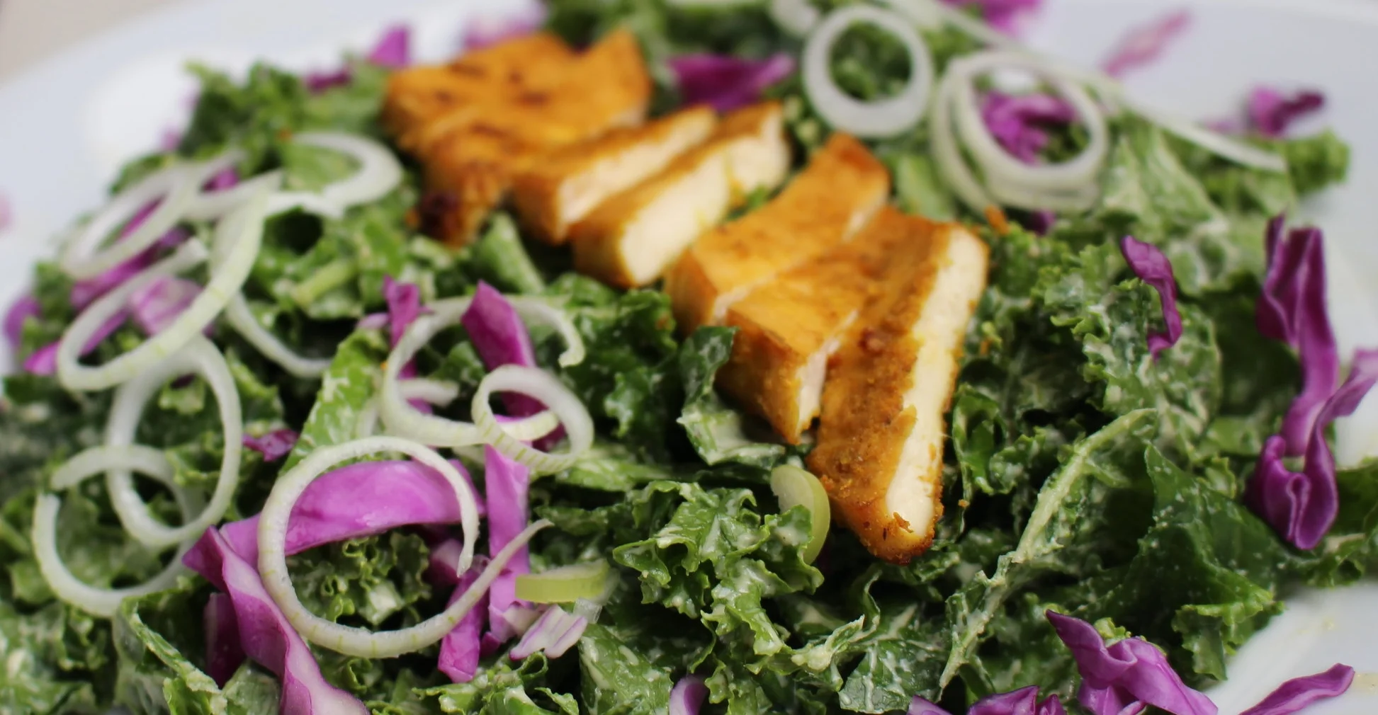 Creamy Cashew Dressing — Chloe P'nina