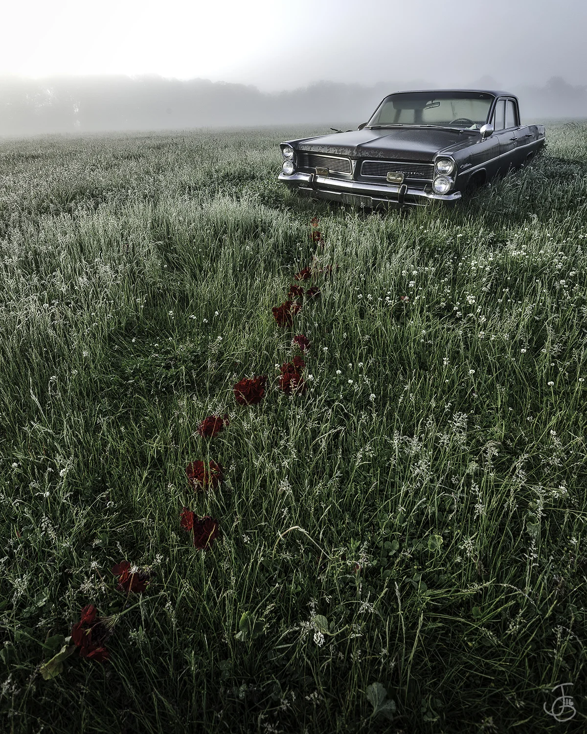 Foggy Pontiac.jpg