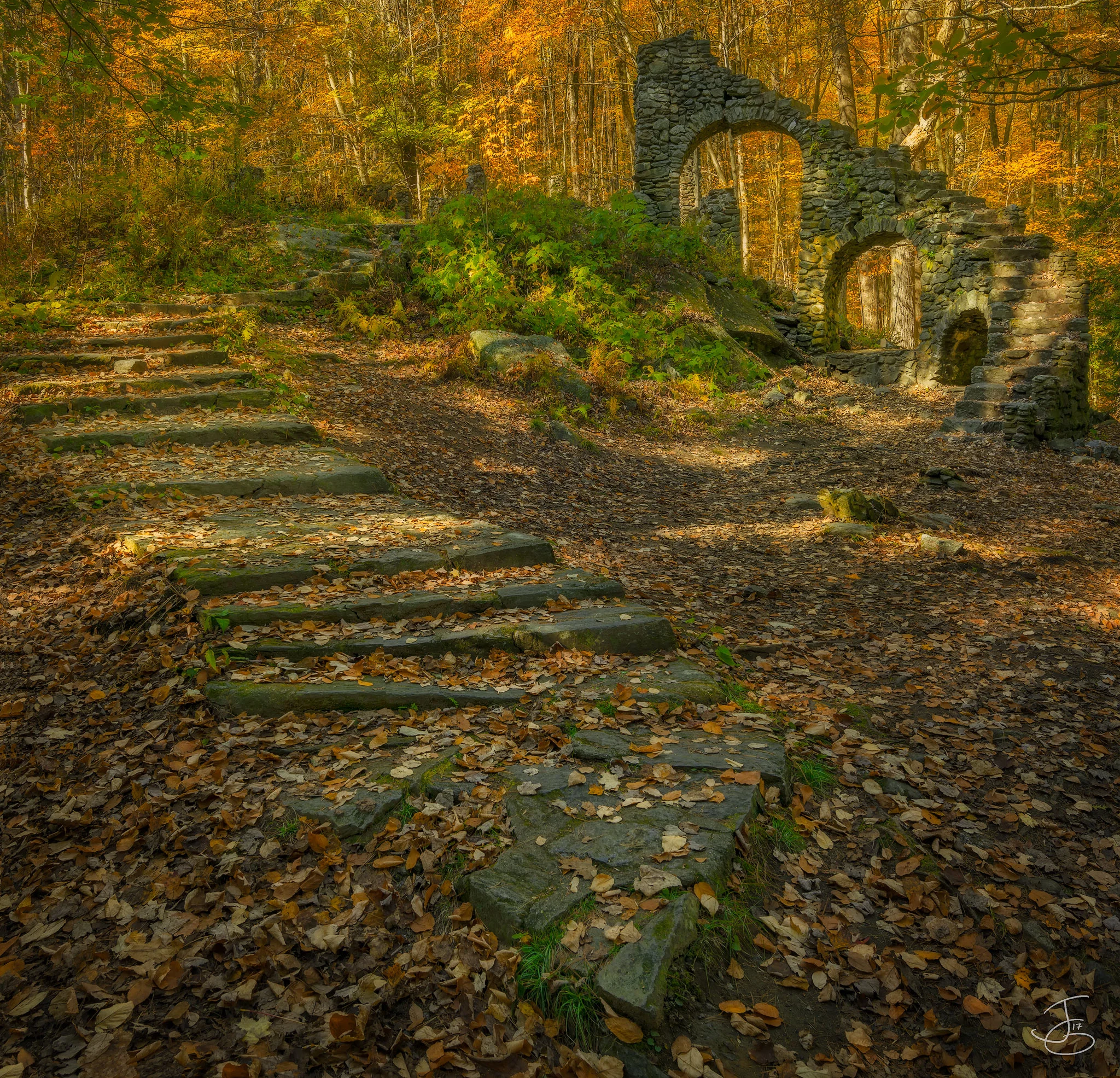 Vermont-Stairs-in-the-Woods-copy.jpg