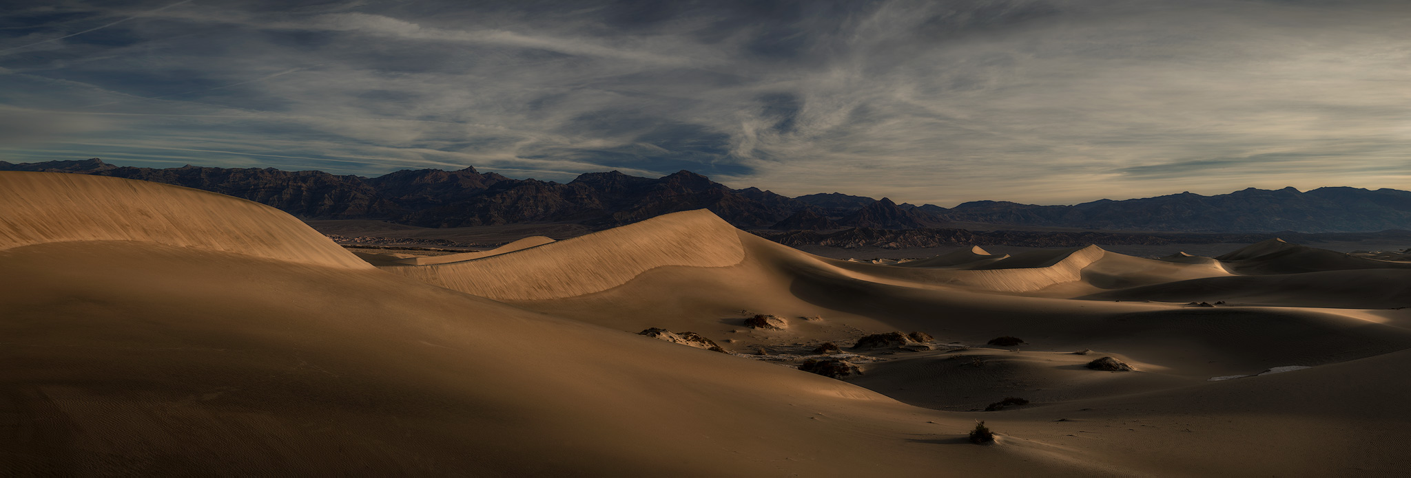 Mesquite-Sand-Dunes-Morning-Color.jpg
