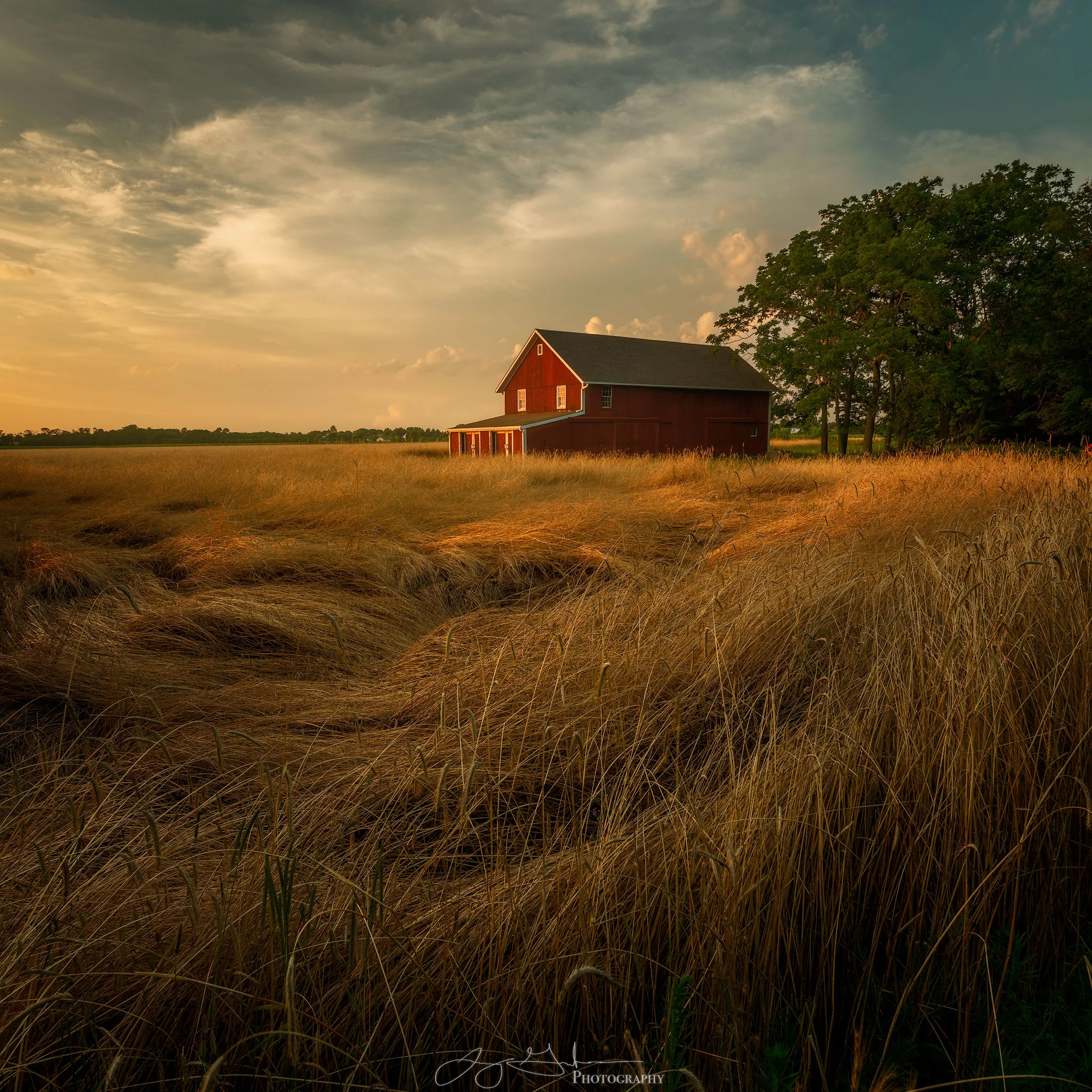 "Golden Barn #2"