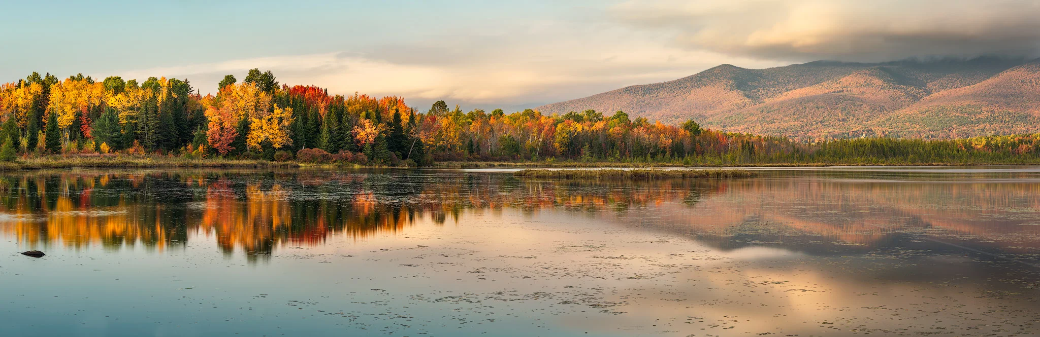 Cherry-POnd-Pano-copy.jpg