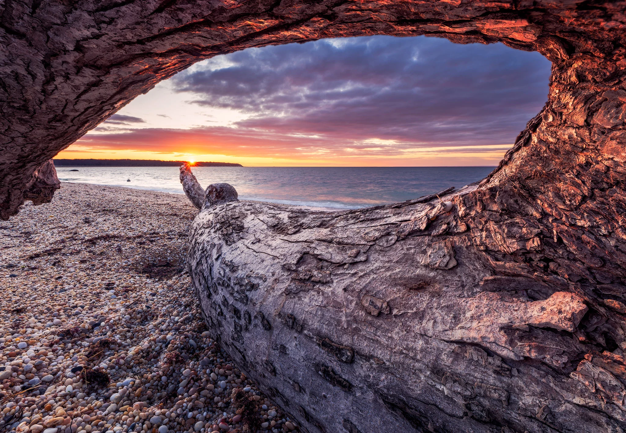 Drift-Wood-on-the-sound-copy.jpg